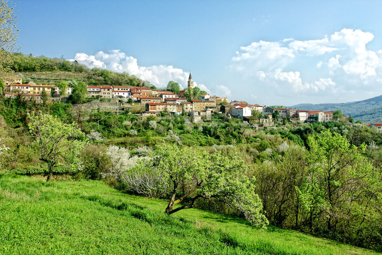 Il mio paesino in primavera