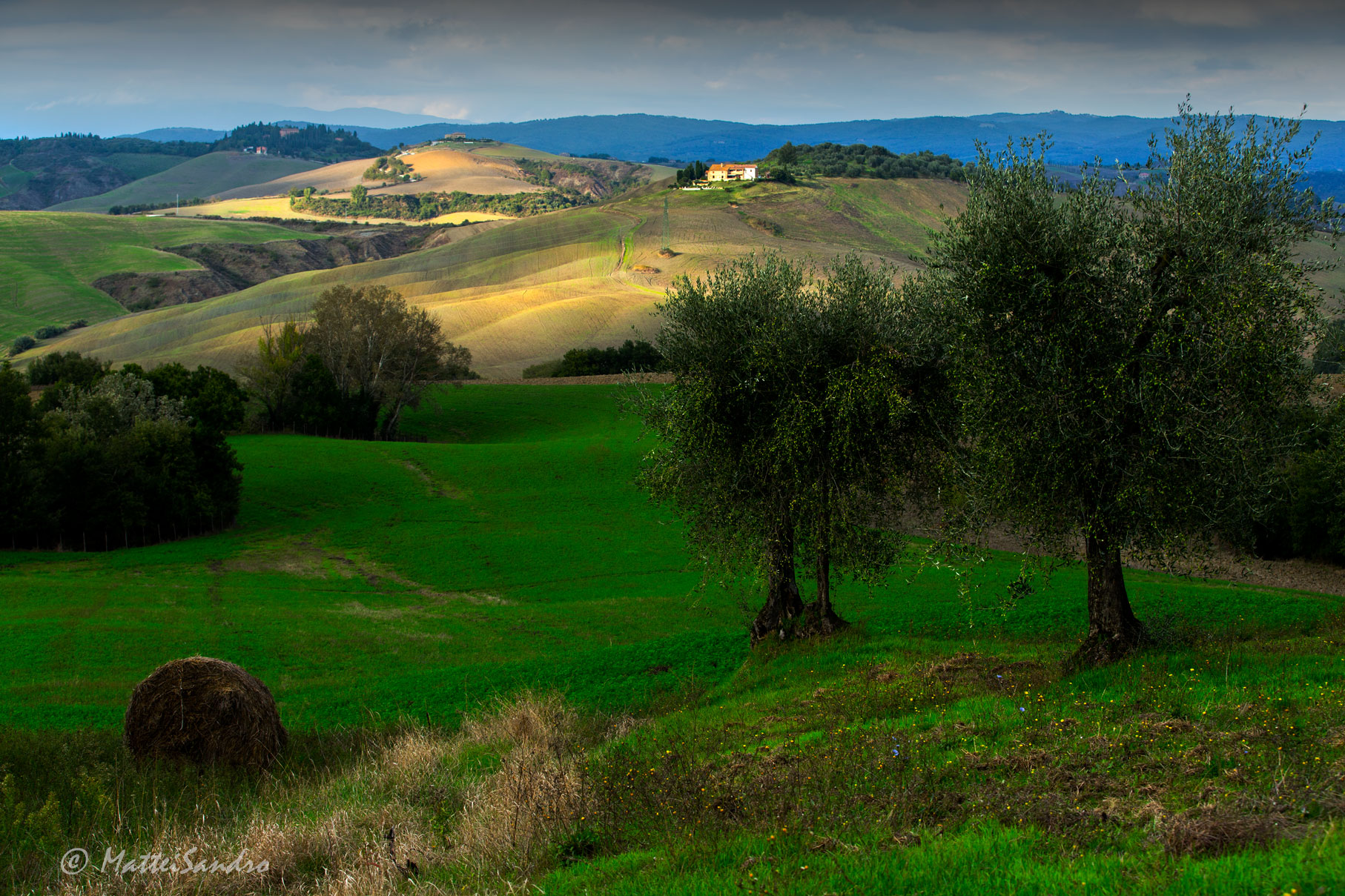 raggio di sole tra il verde
