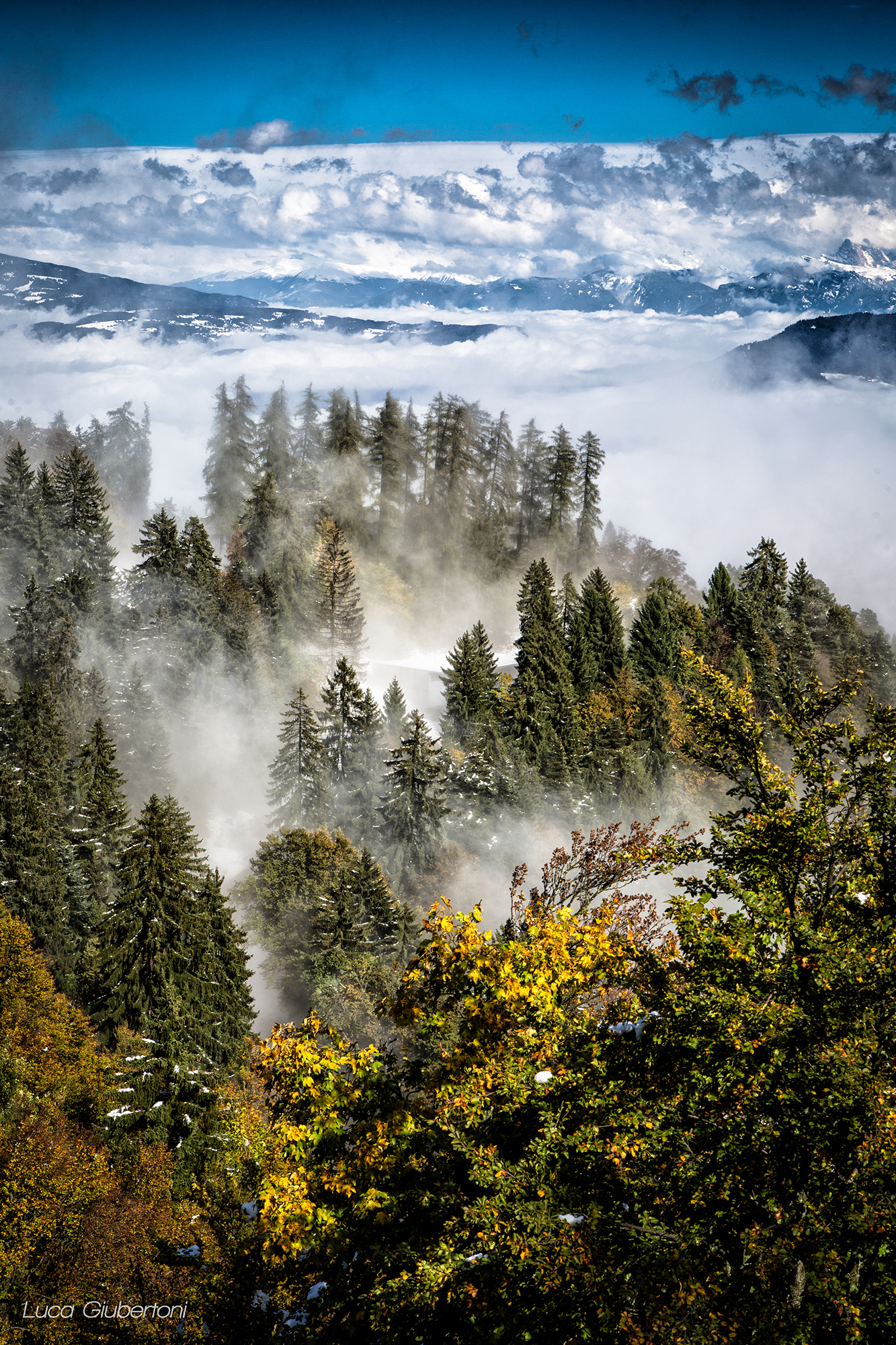 Vista dal Passo della Mendola