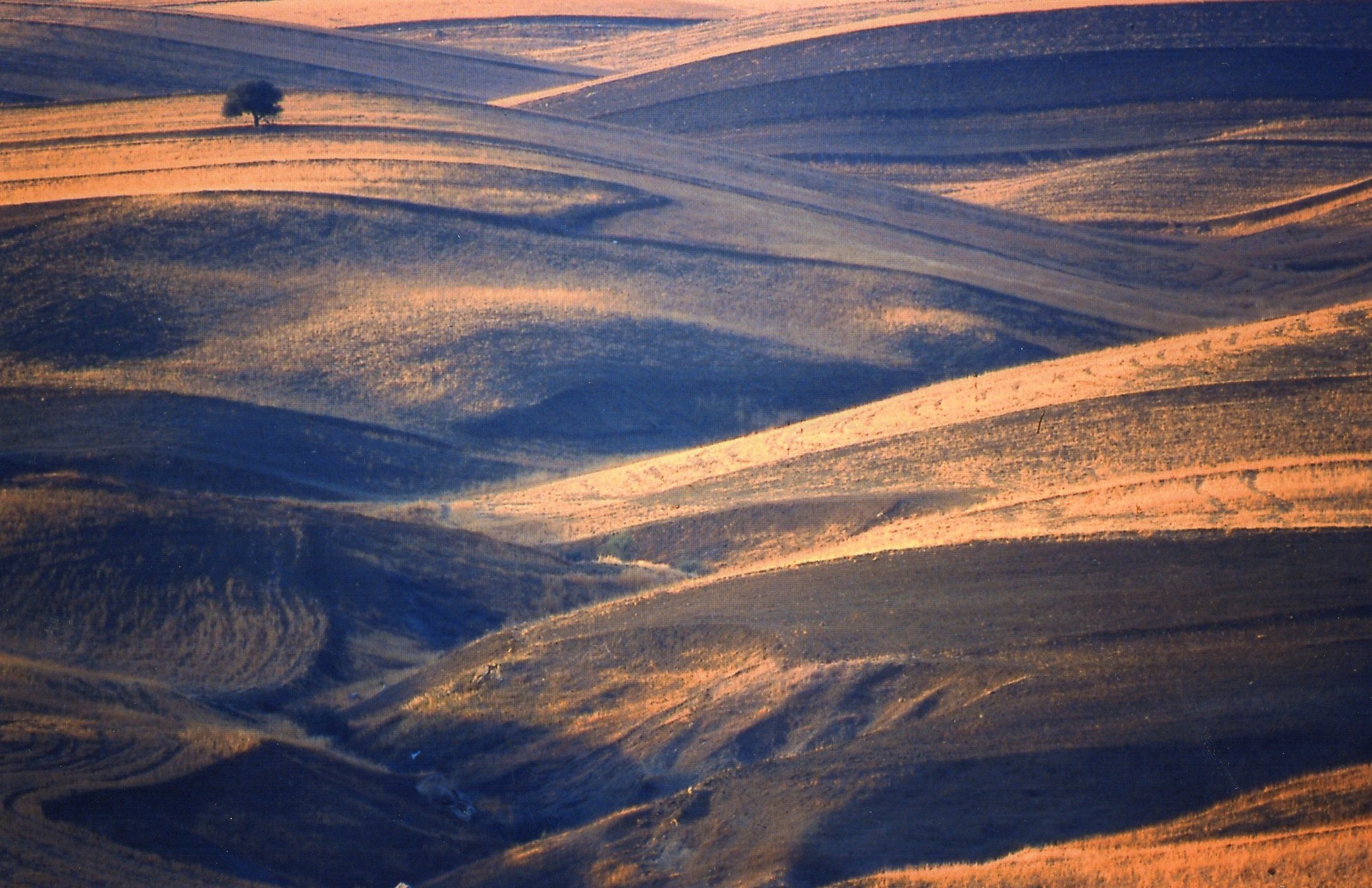 Agrigento - summer landscape -