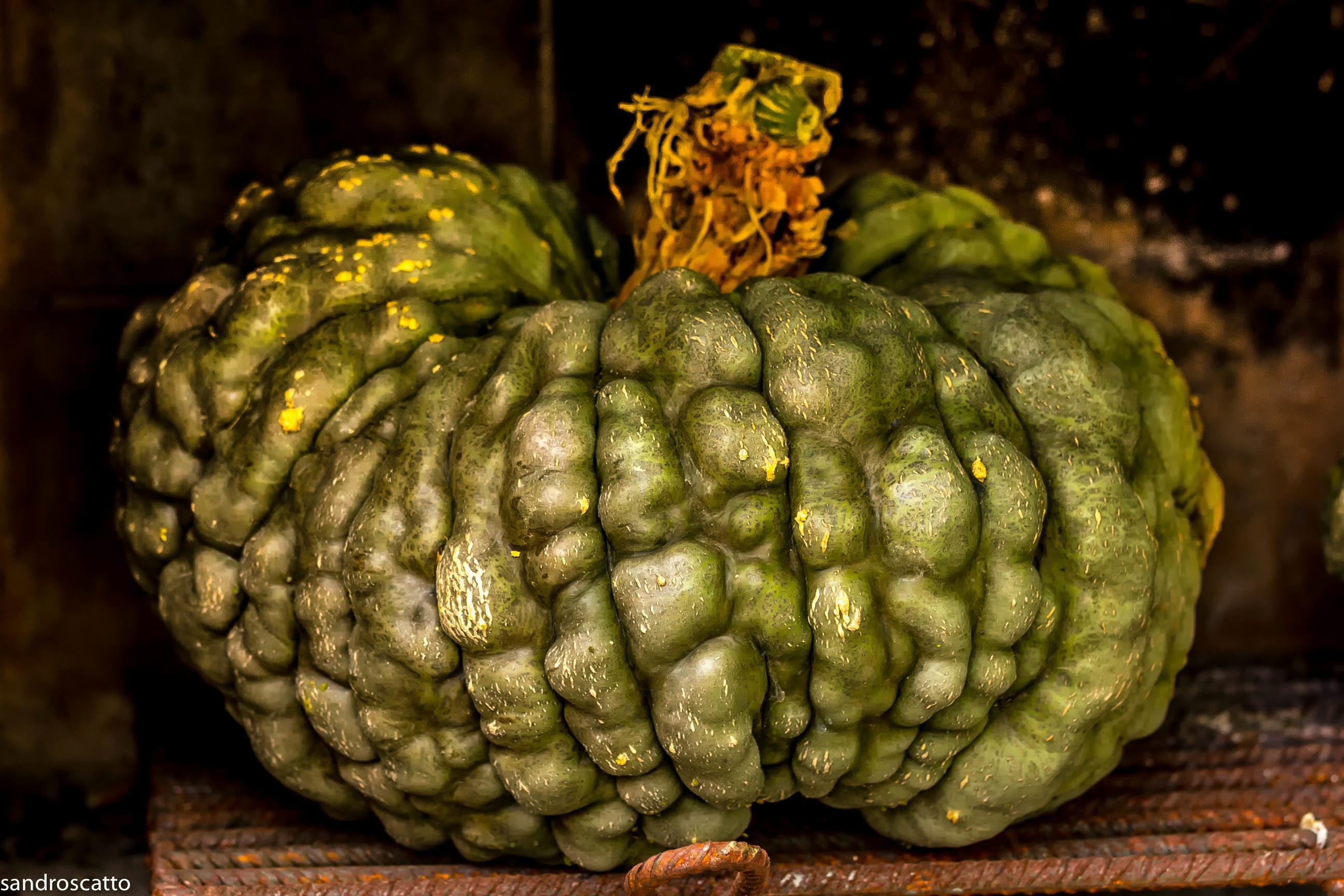 An advance of Halloween