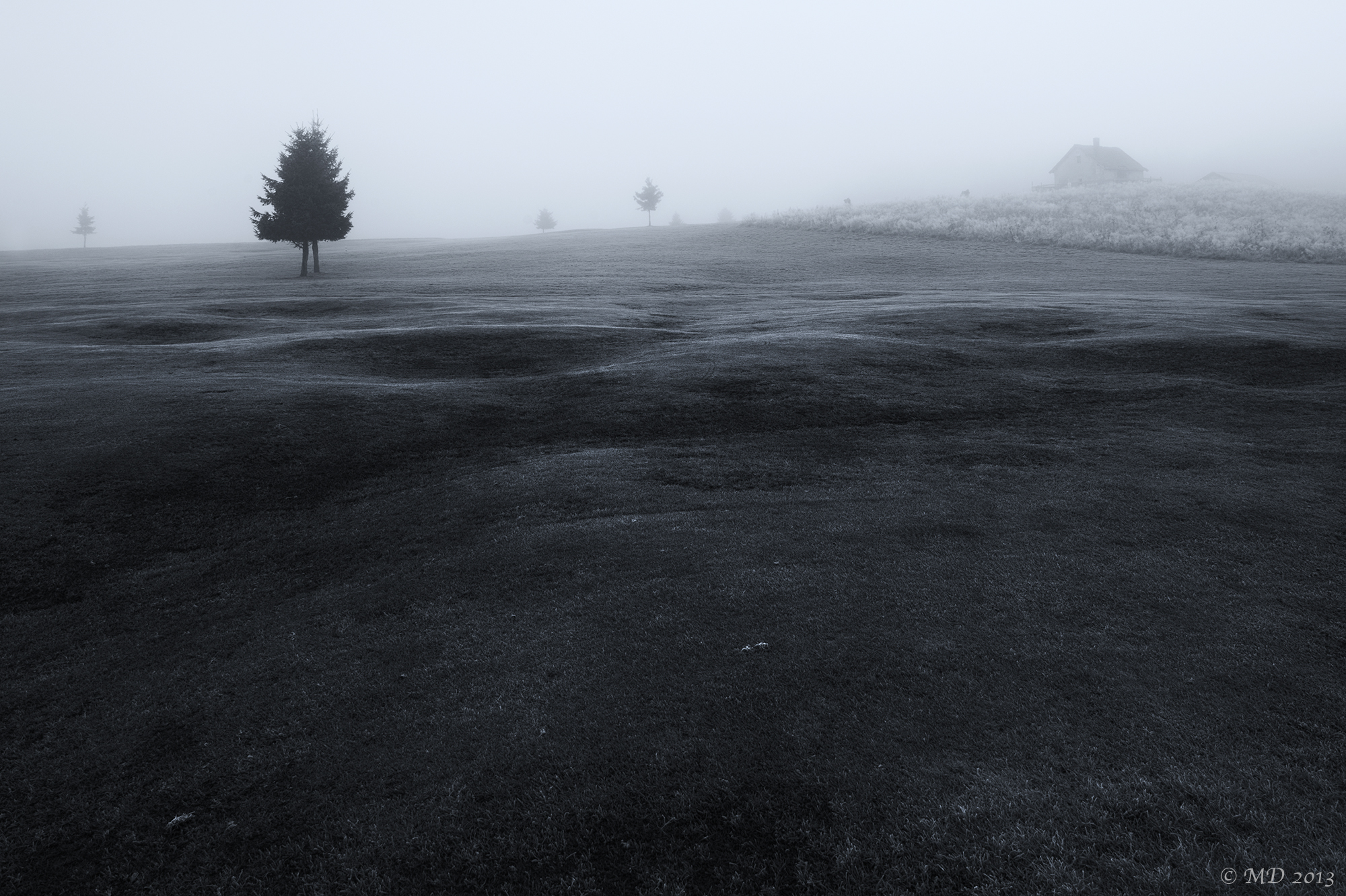 Cansiglio ottobre 2013