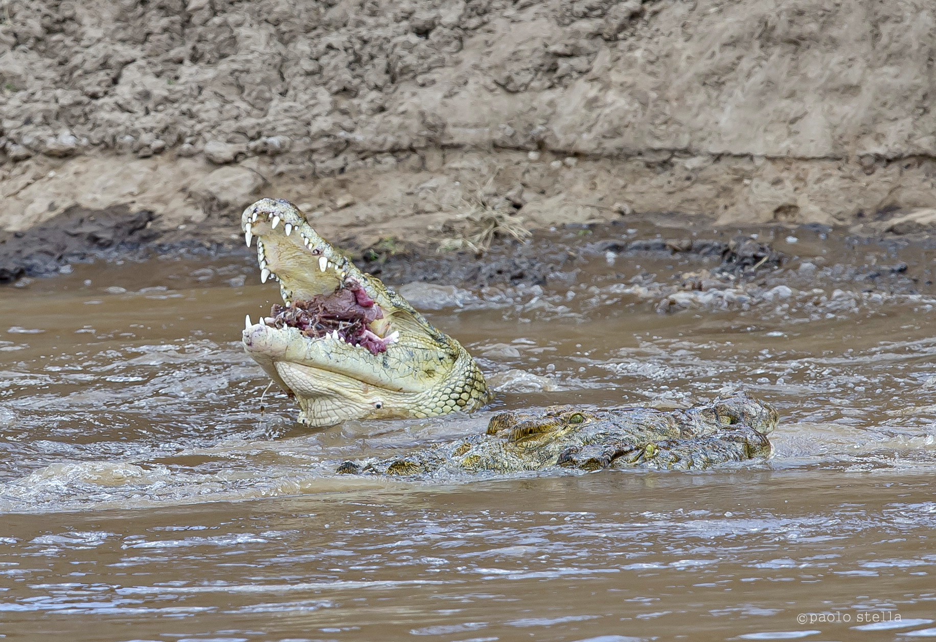 Crossing the Mara - 18 -