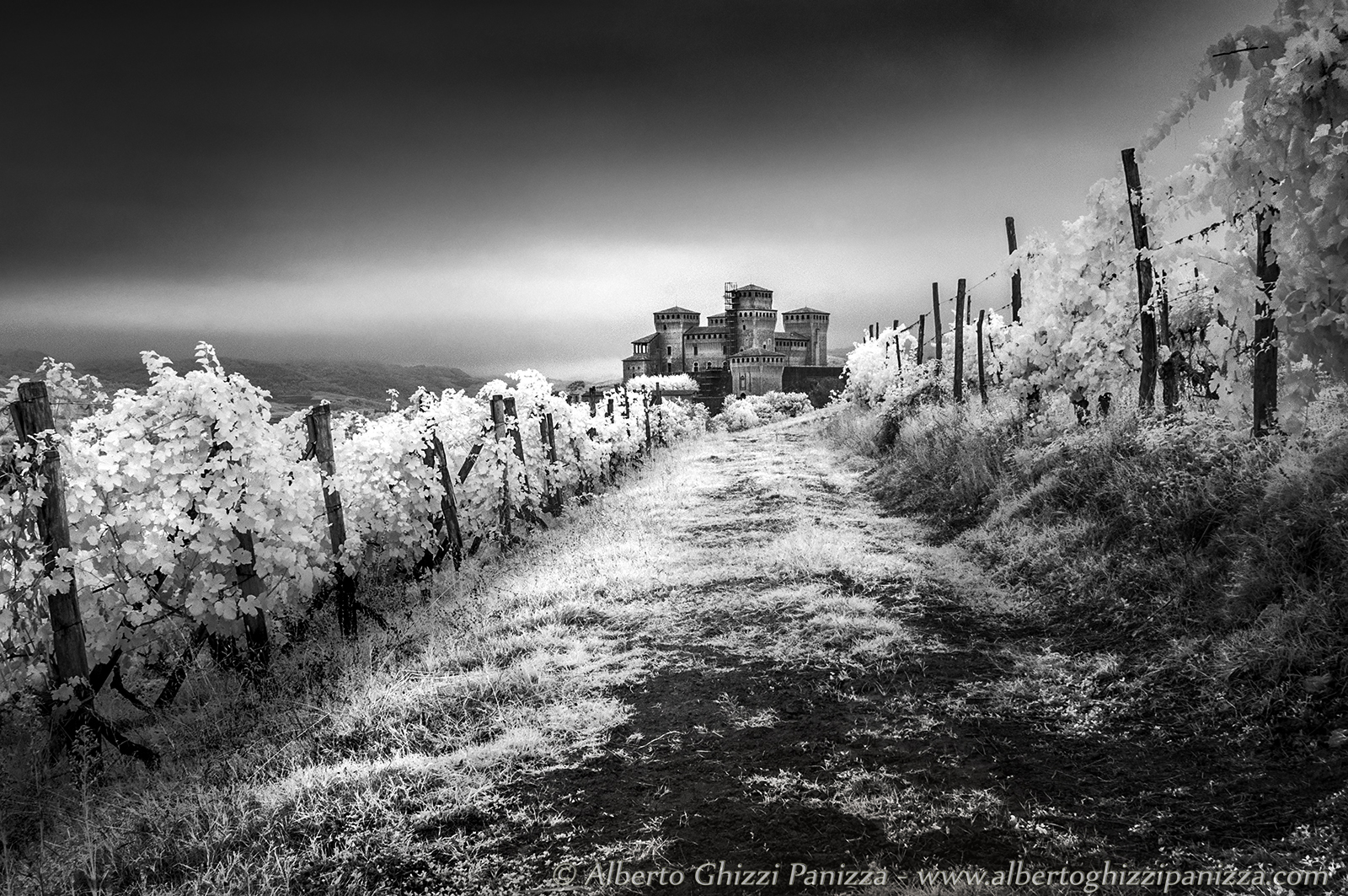 Toasting in the infrared