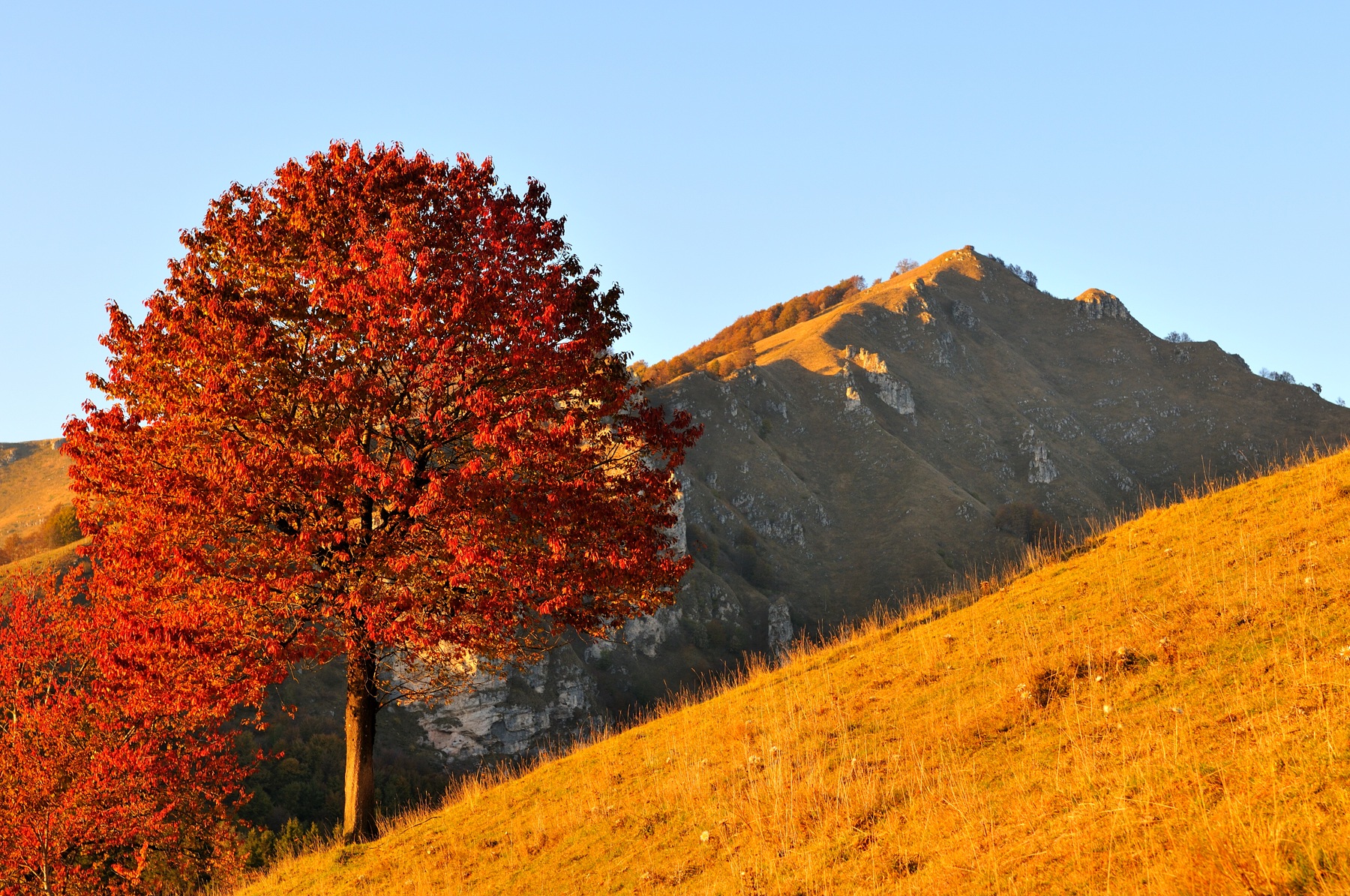 Autunno a Campofontana