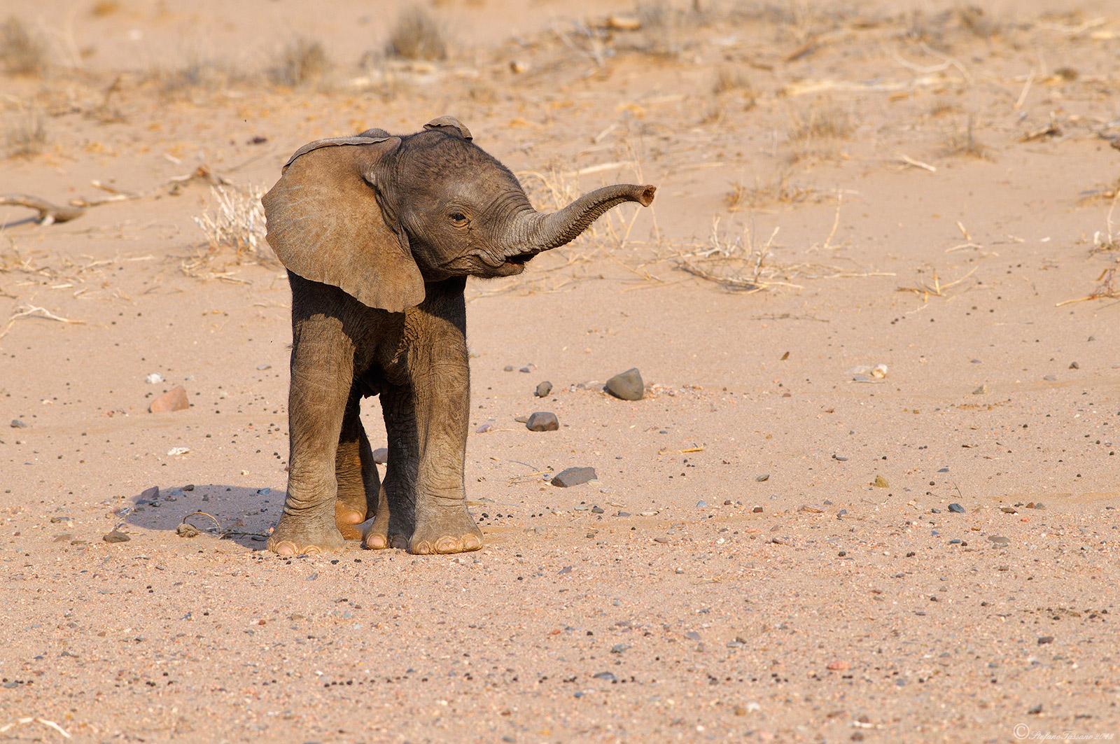 Damaraland in the land of the elephants