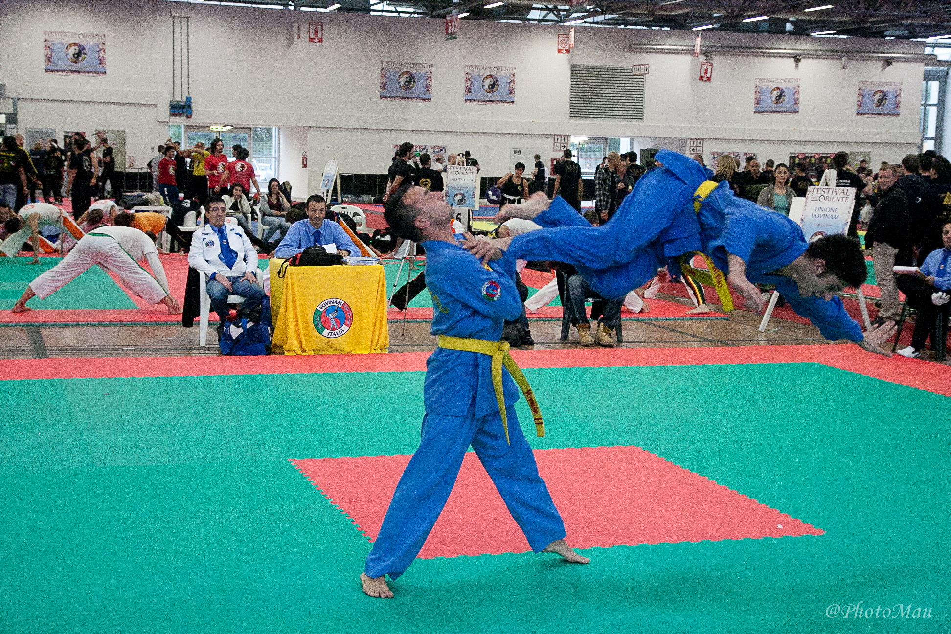 Vovinam Viet Vo Dao