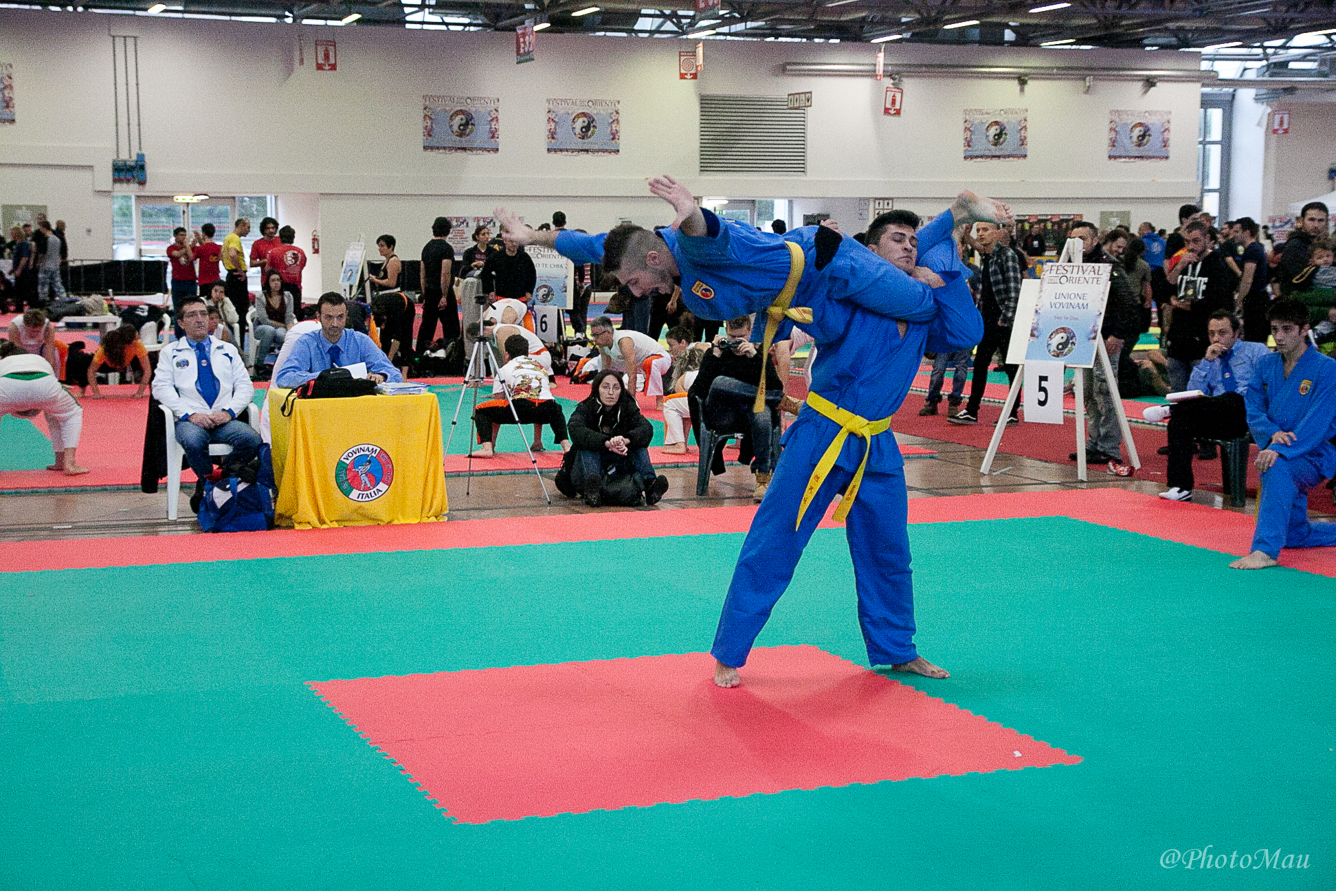 Vovinam Viet Vo Dao