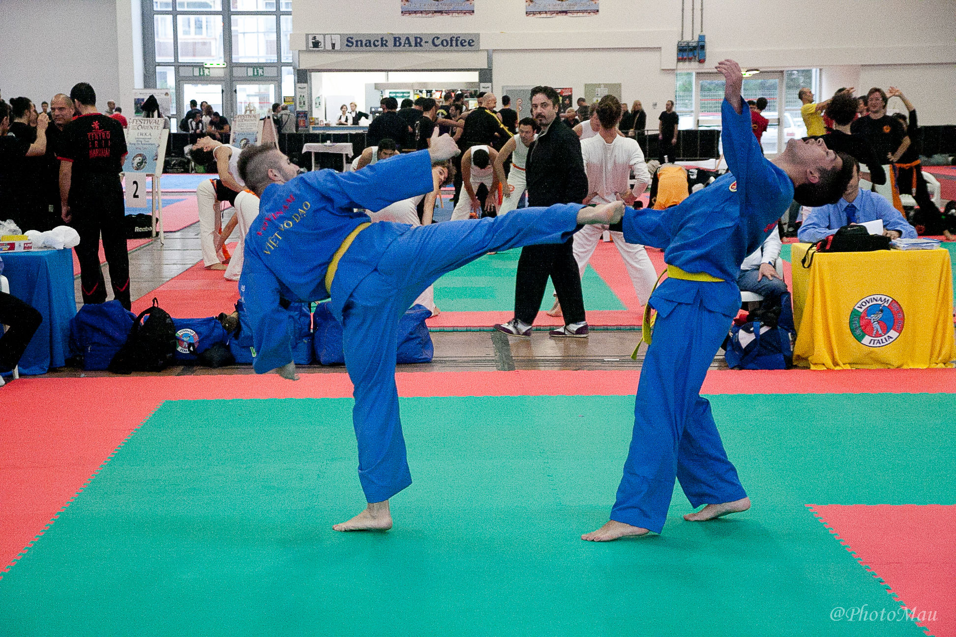 Vovinam Viet Vo Dao
