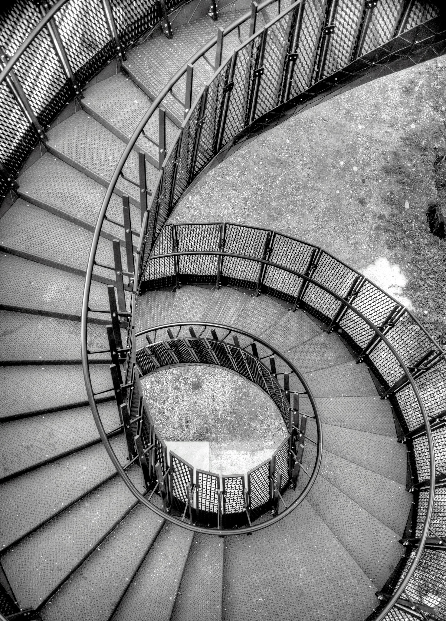 The scale of Leonardo