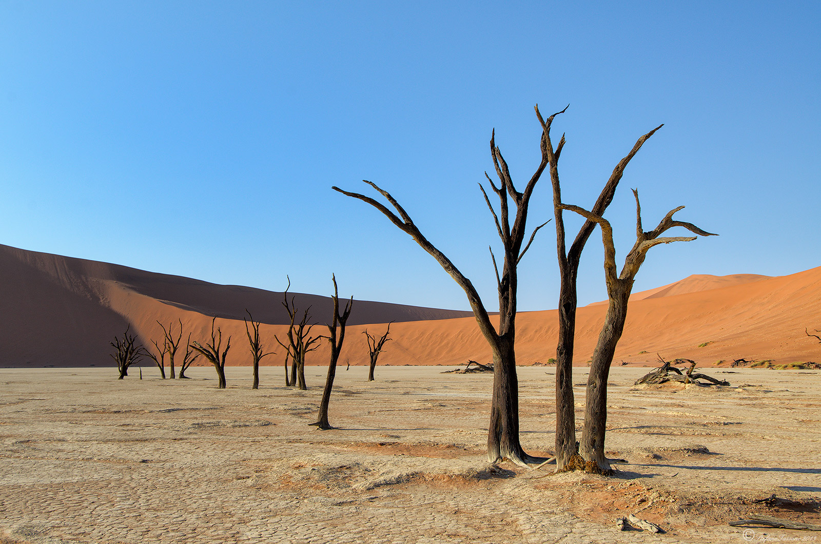 deadvlei