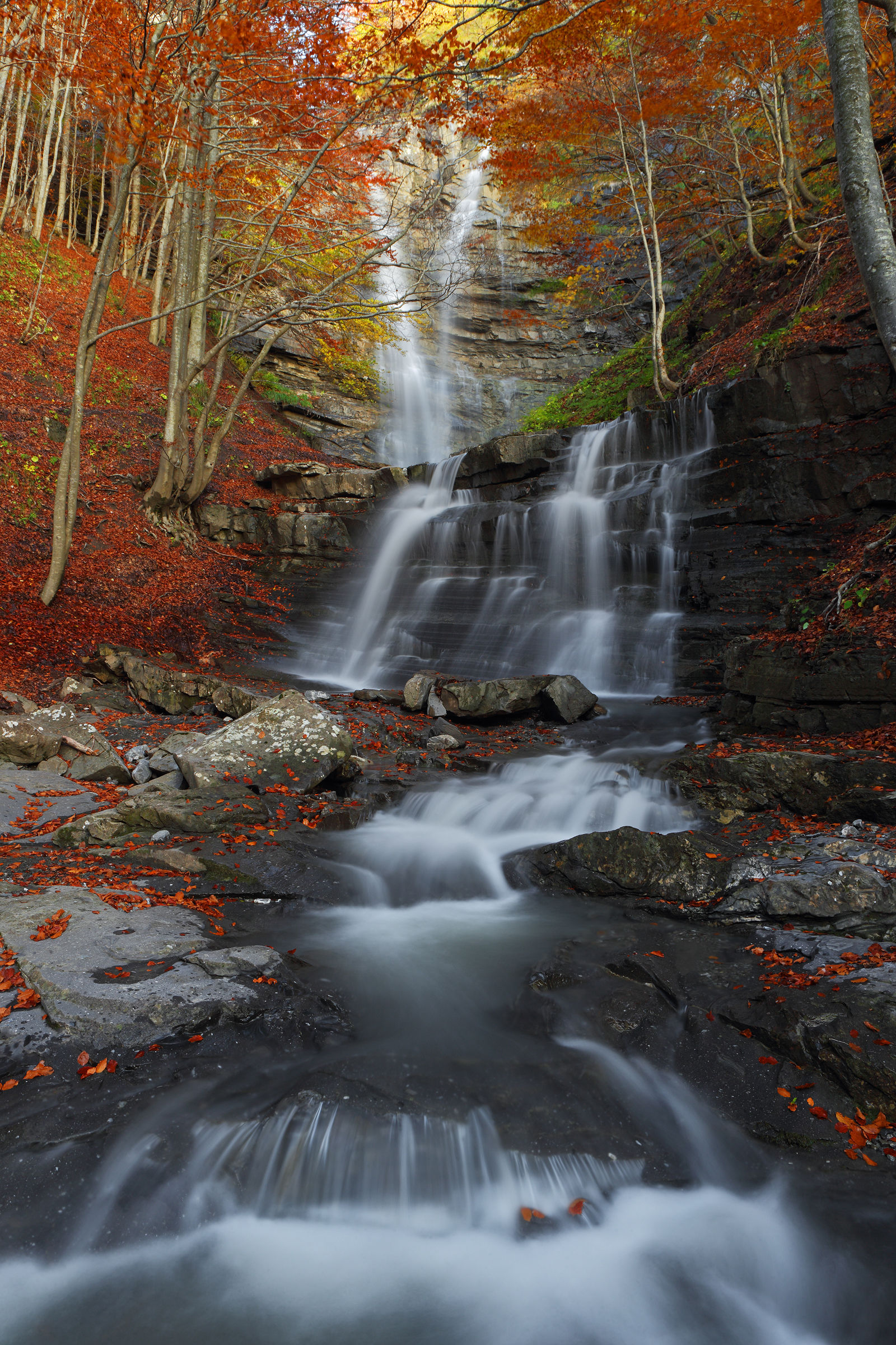 Niagara Lavacchiello