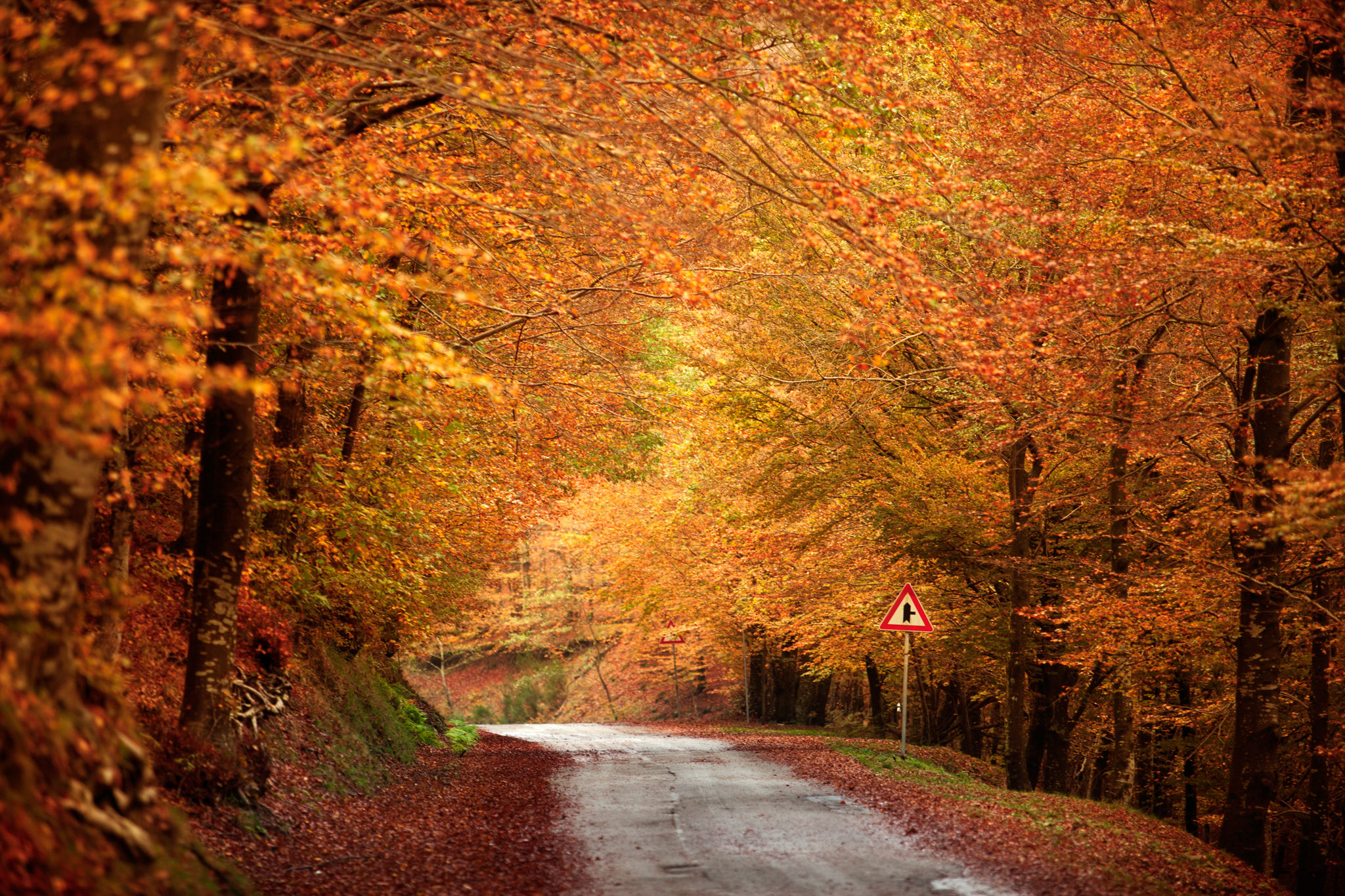 Sulla buona strada verso l'autunno