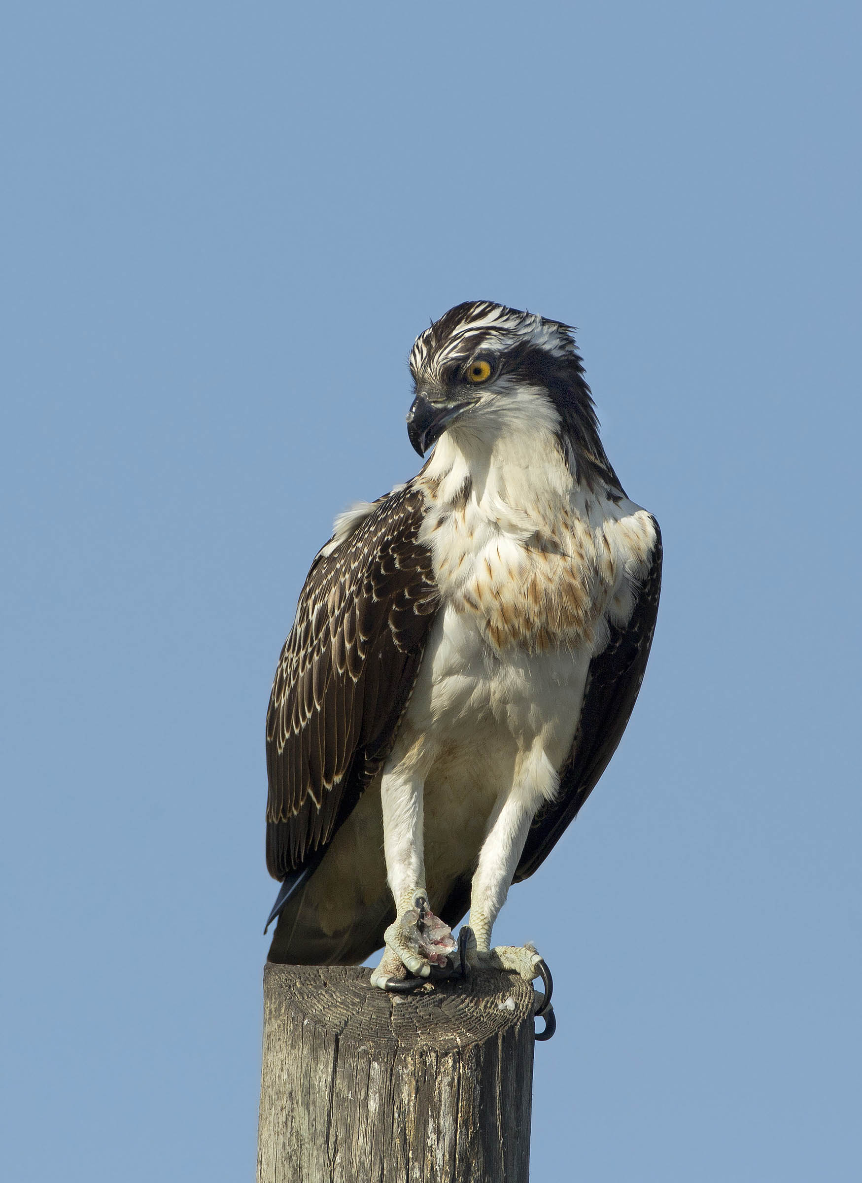 che bello che sono!!!