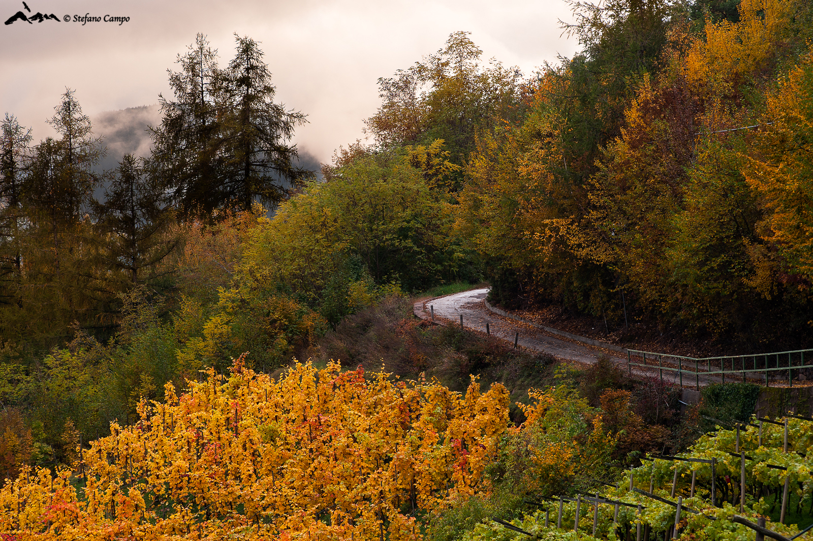 Scorci autunnali in Val di Cembra