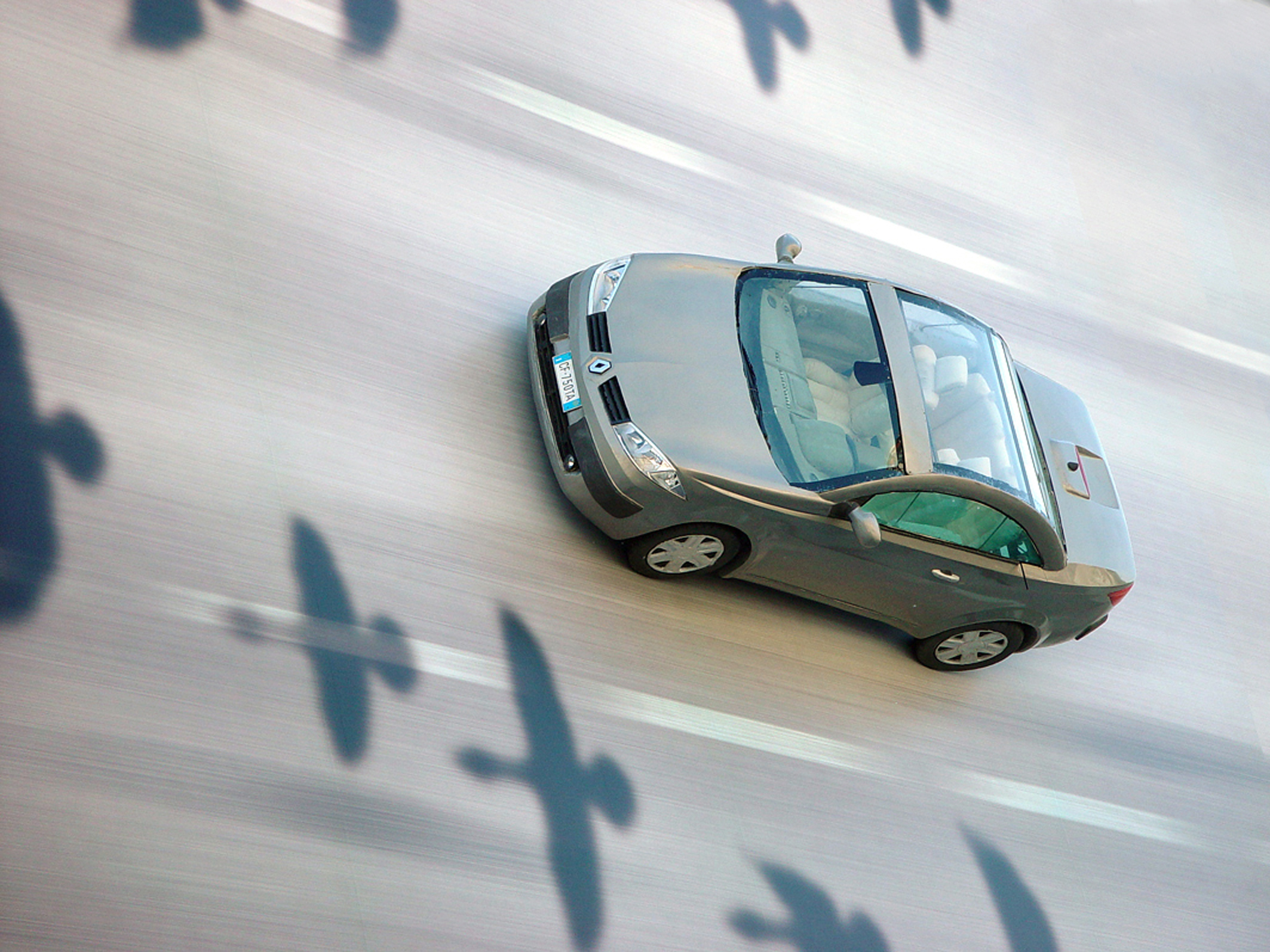 Traveling with geese