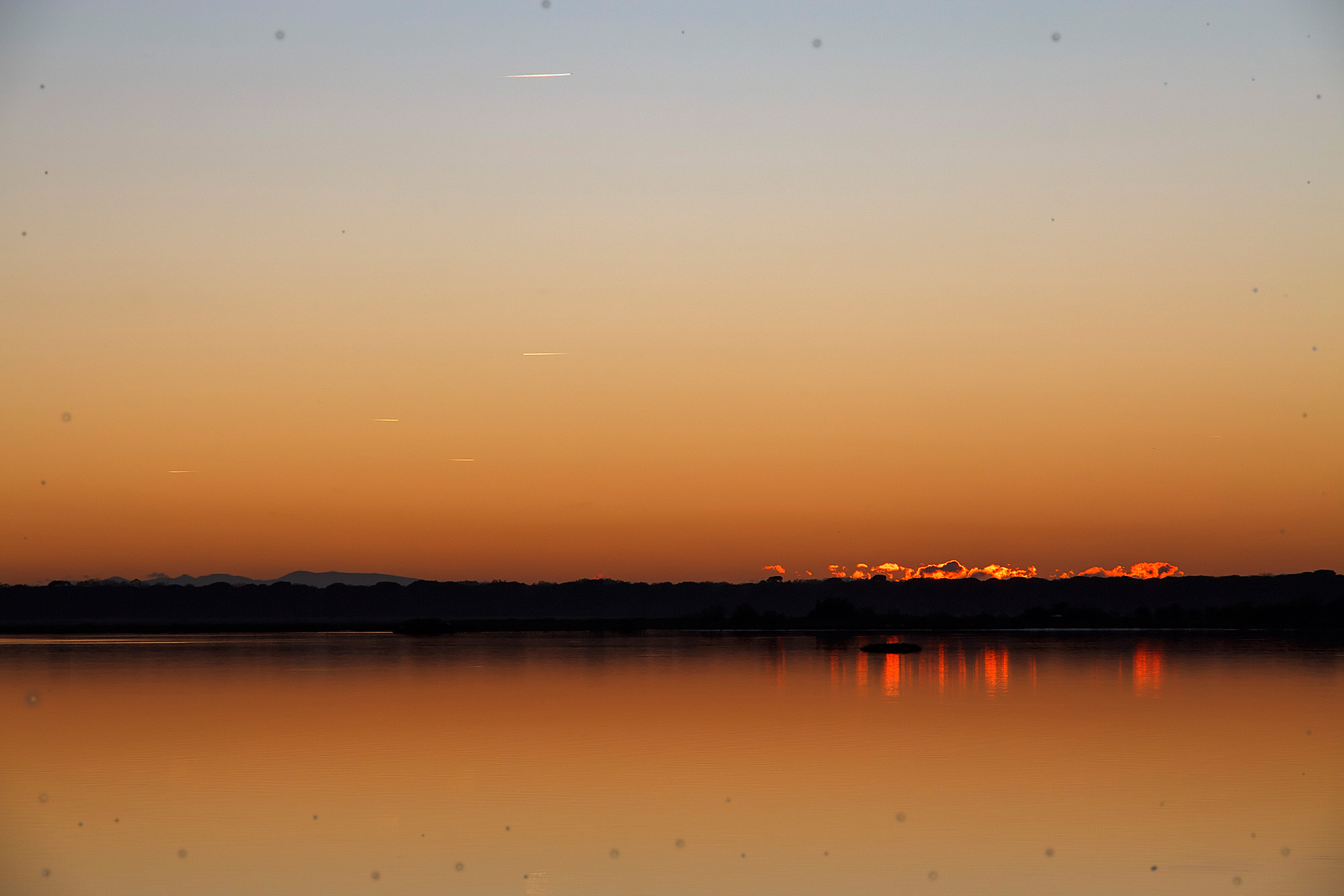 Nikon action for photoshop