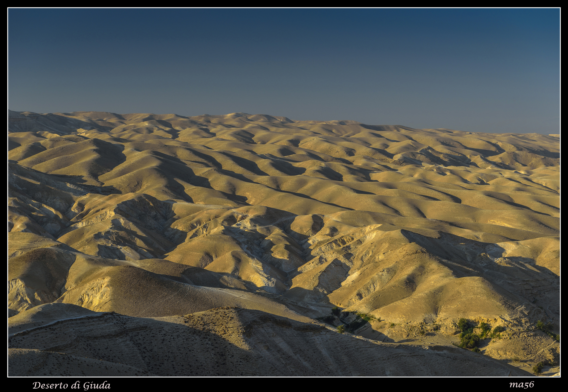 Israele - Deserto di Giuda