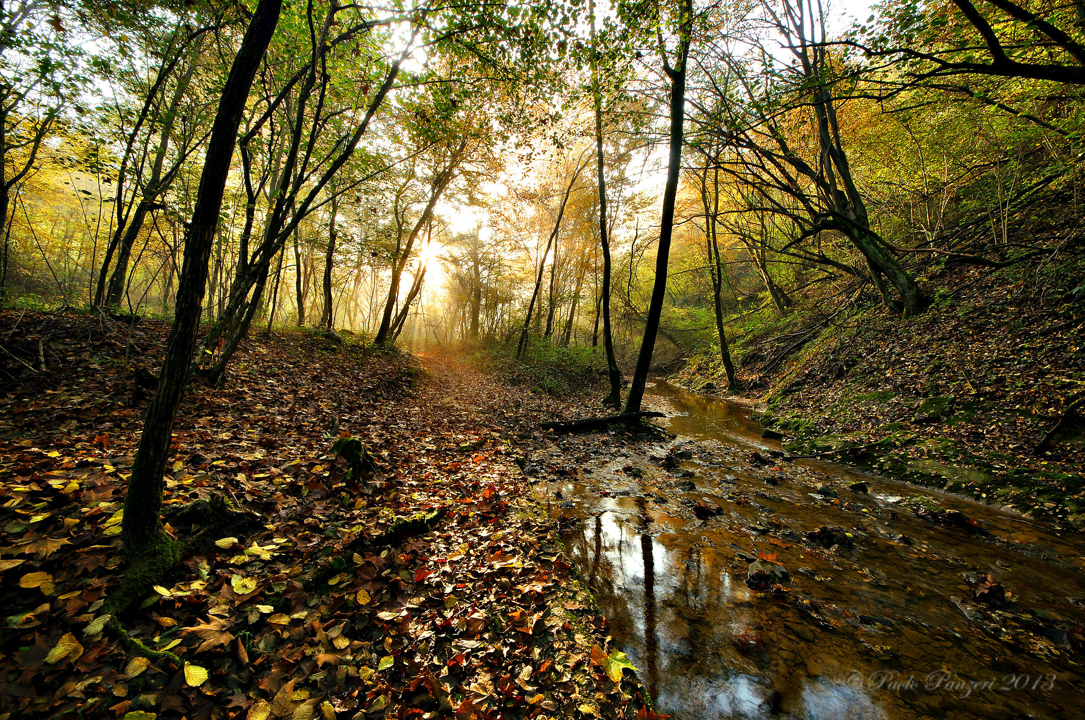 Ed è di nuovo colore