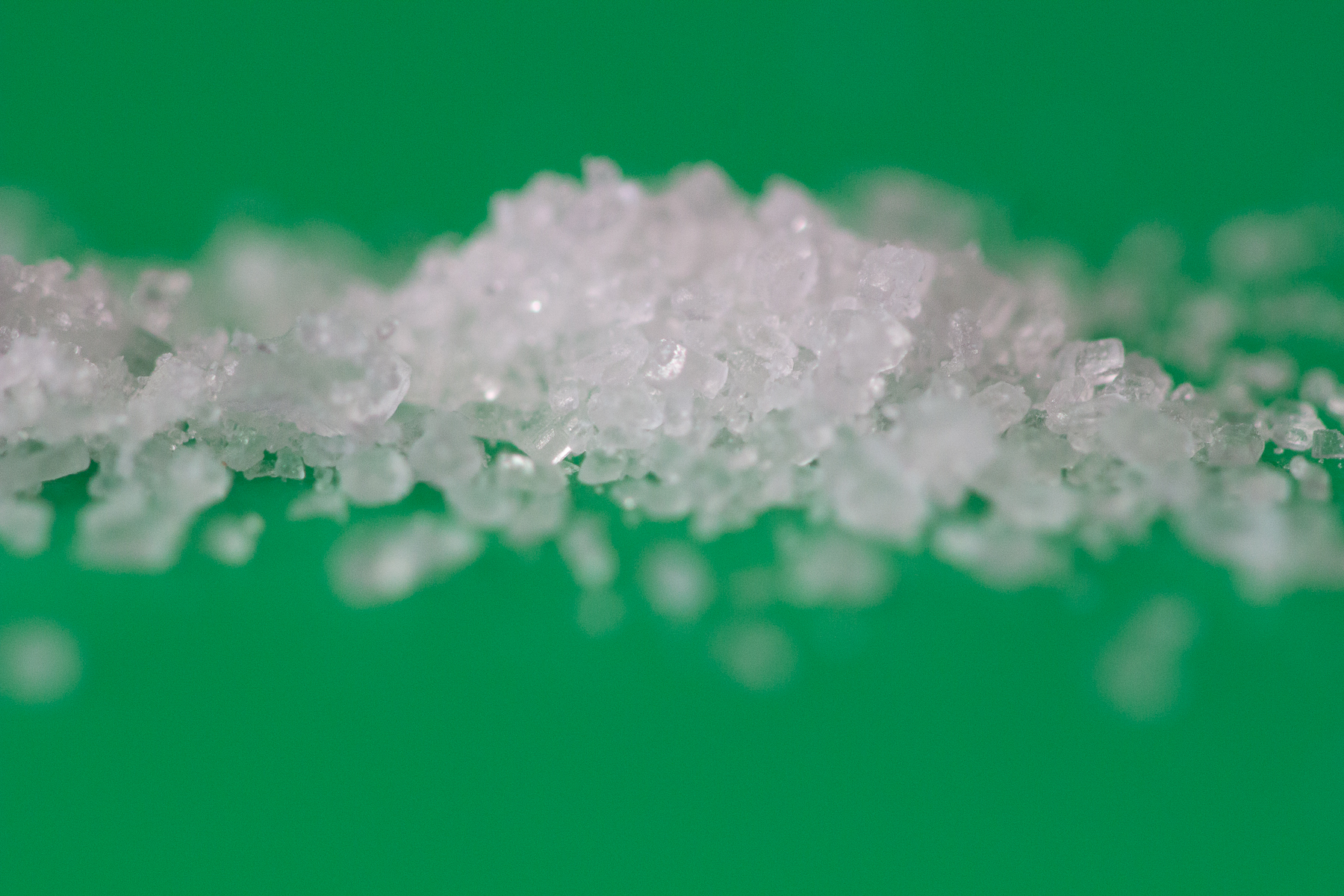 Secnda prova con il 100 2,8 IS L Macro+Kenko DGX 3000