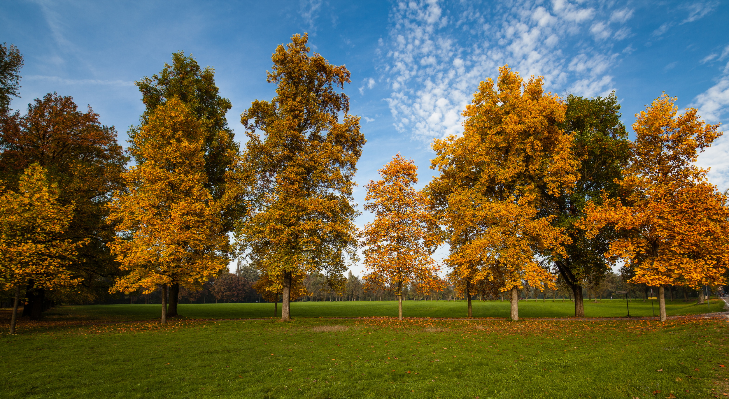 I colori dell' autunno