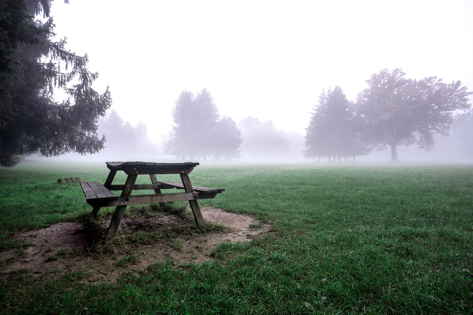 Alba Autunnale nel Parco