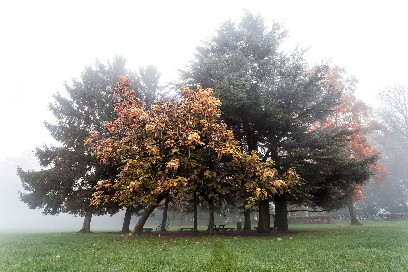 Alba Autunnale nel Parco