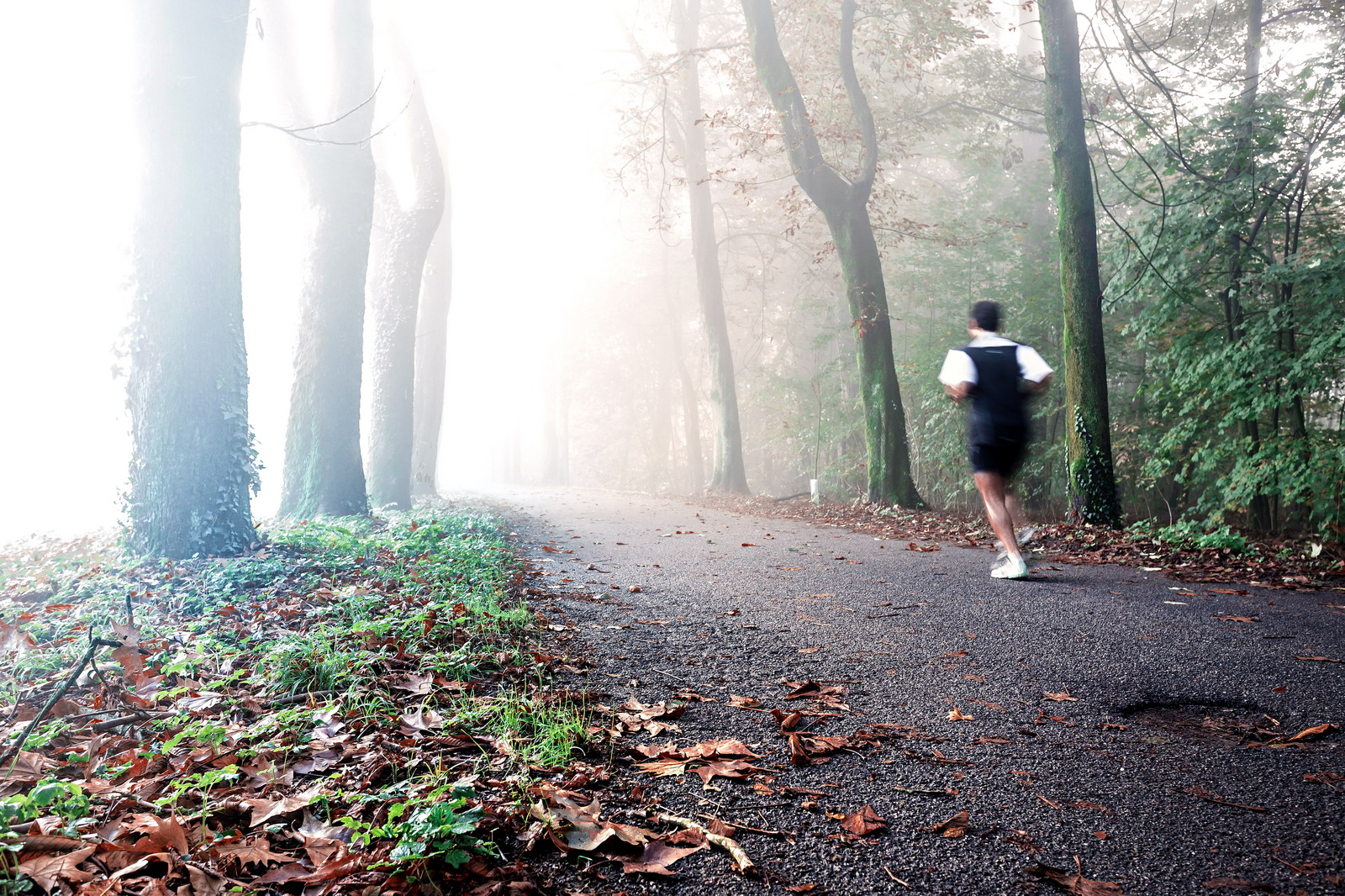 Alba Autunnale nel Parco