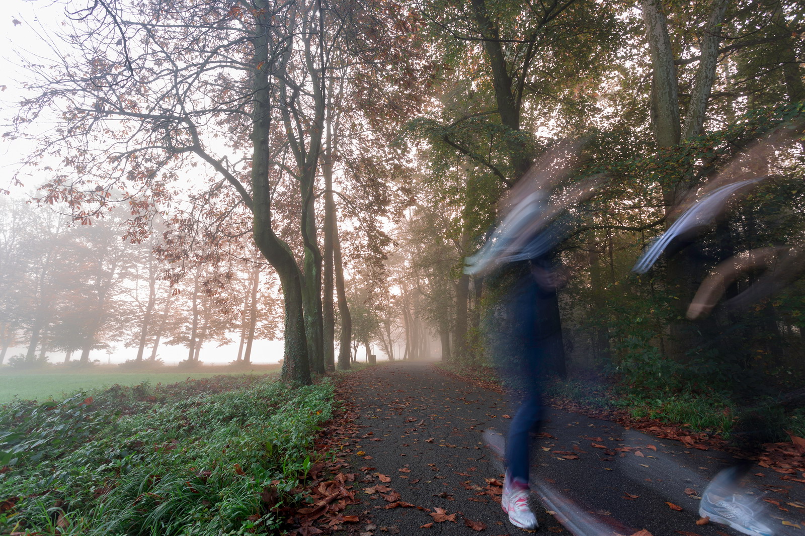 Alba Autunnale nel Parco