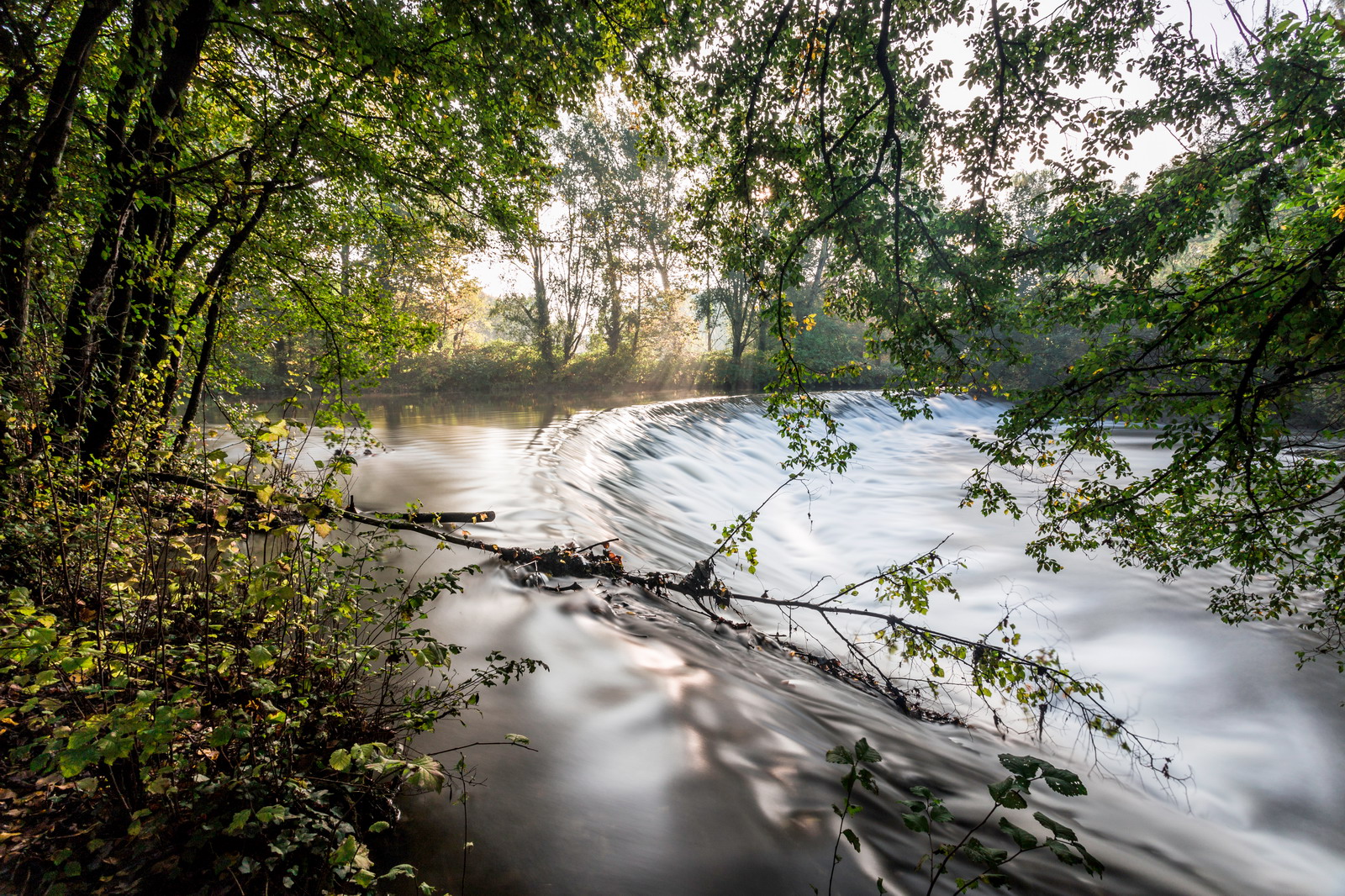 Sunrise Autumn in the Park