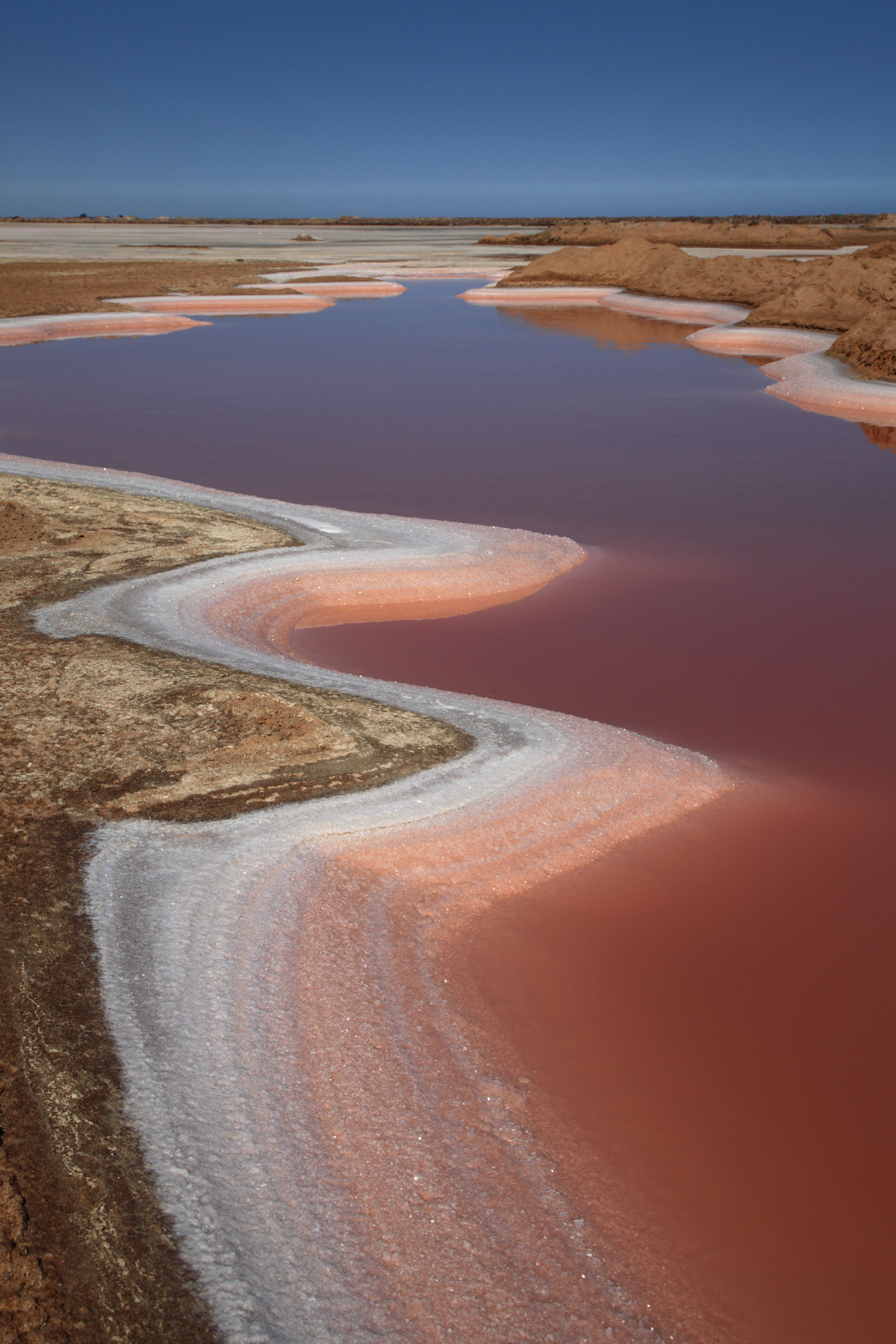 Walis Bay Salt funziona