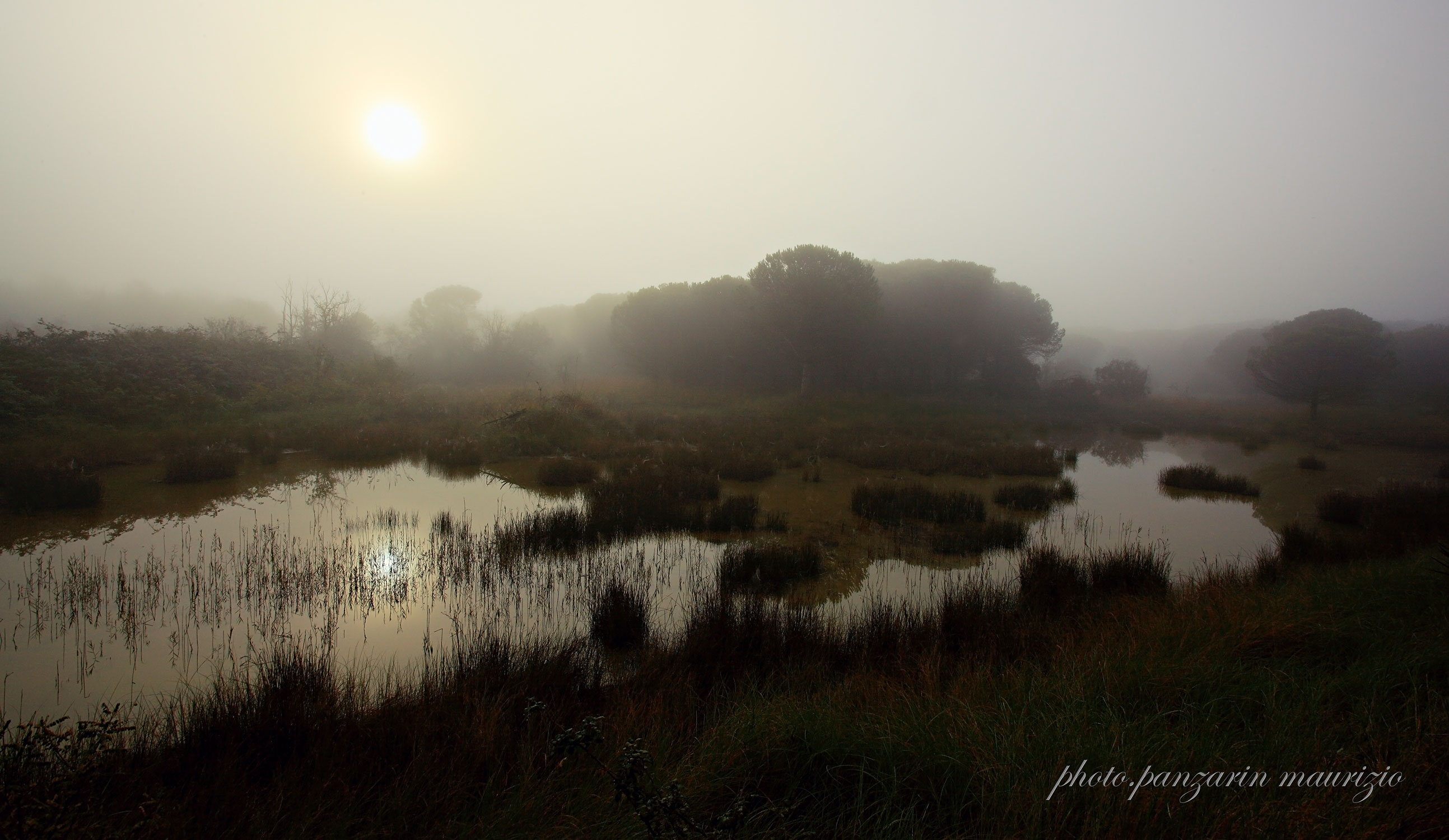 Vallevecchia in the fog