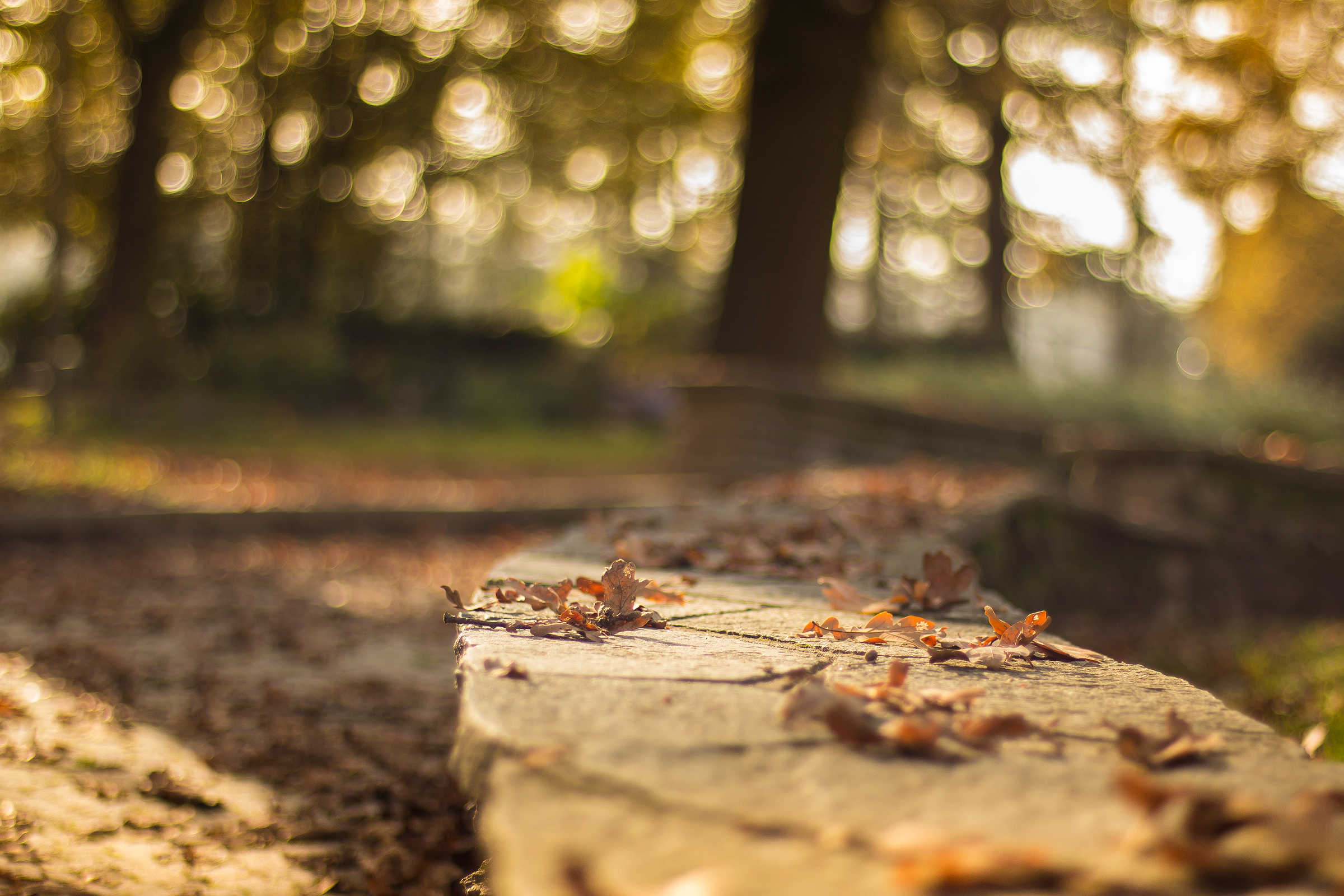 Passeggiata D'Autunno