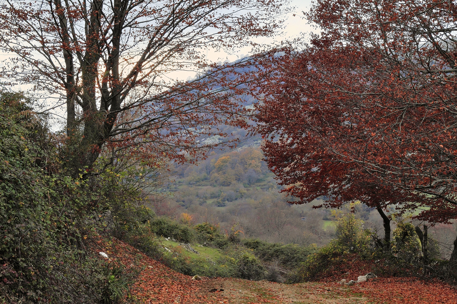Autunno sui monti Lepini.