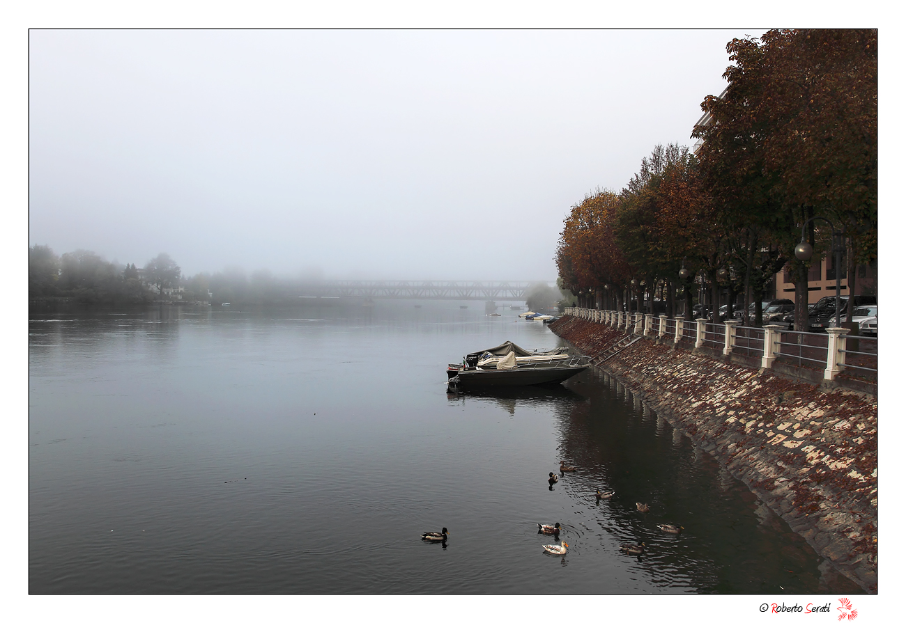 Ticino in Sesto Calende 2