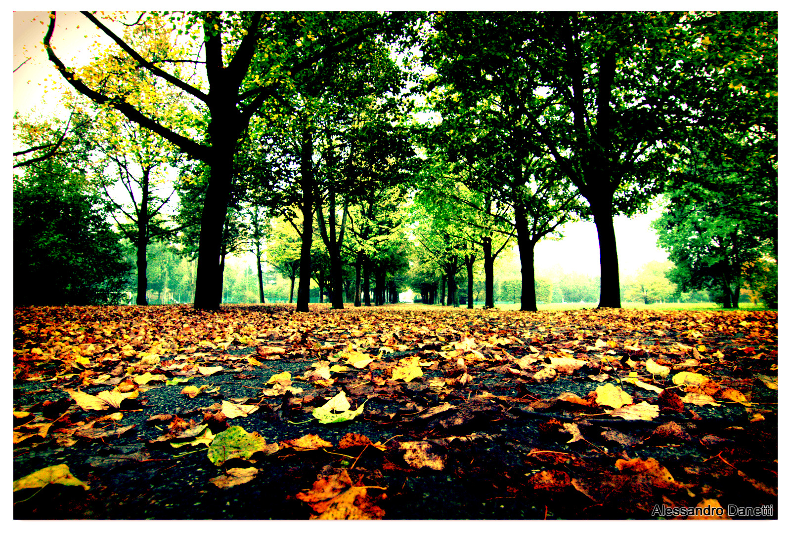 The Autumn falls on parks in Milan