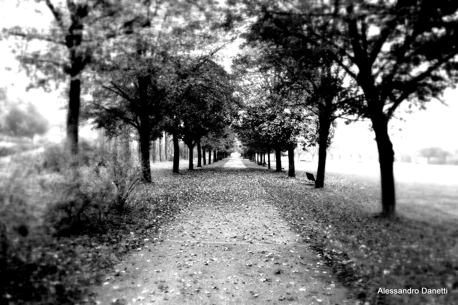 The nature closes on itself!