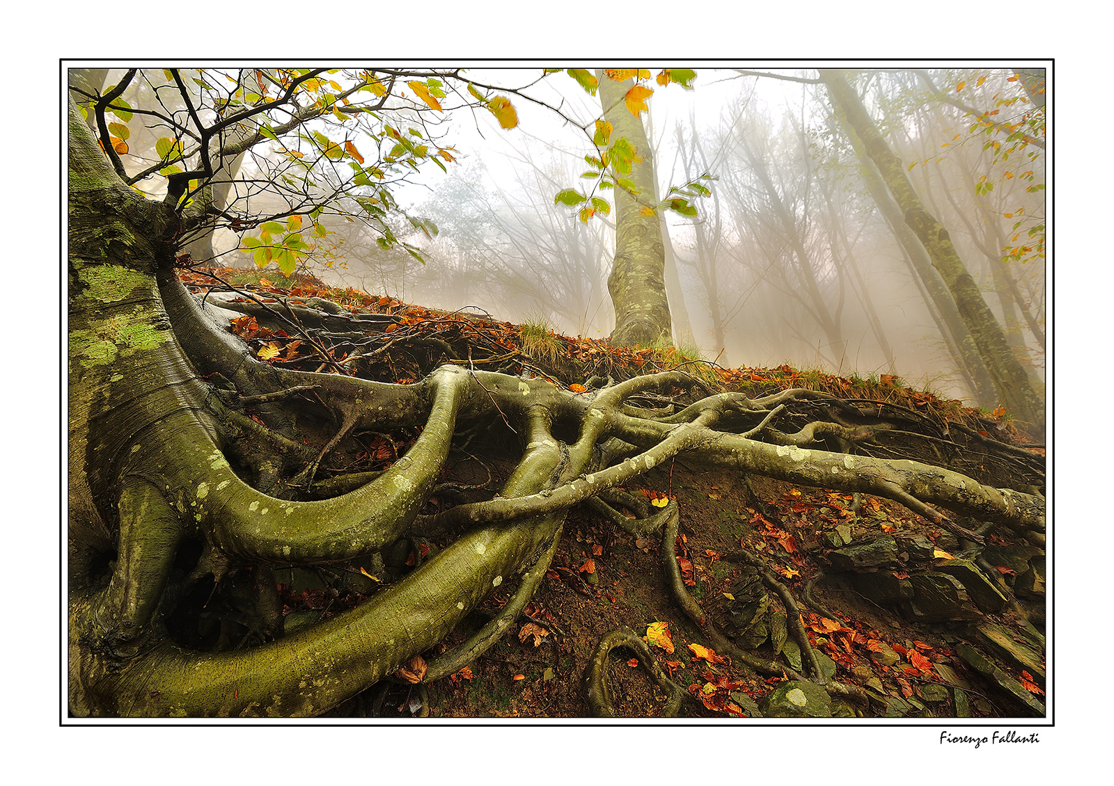 Holds ... for life ...