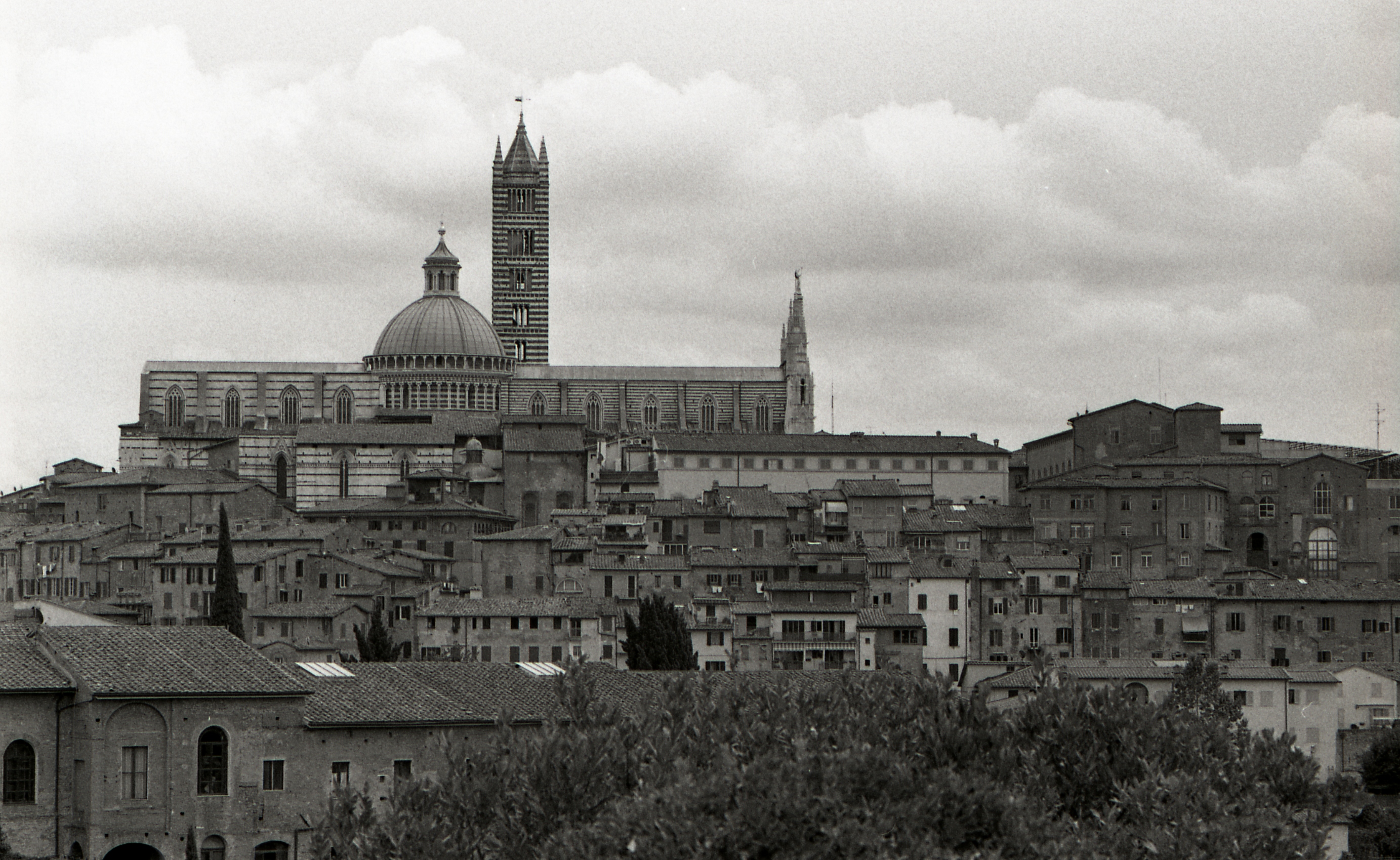 Siena