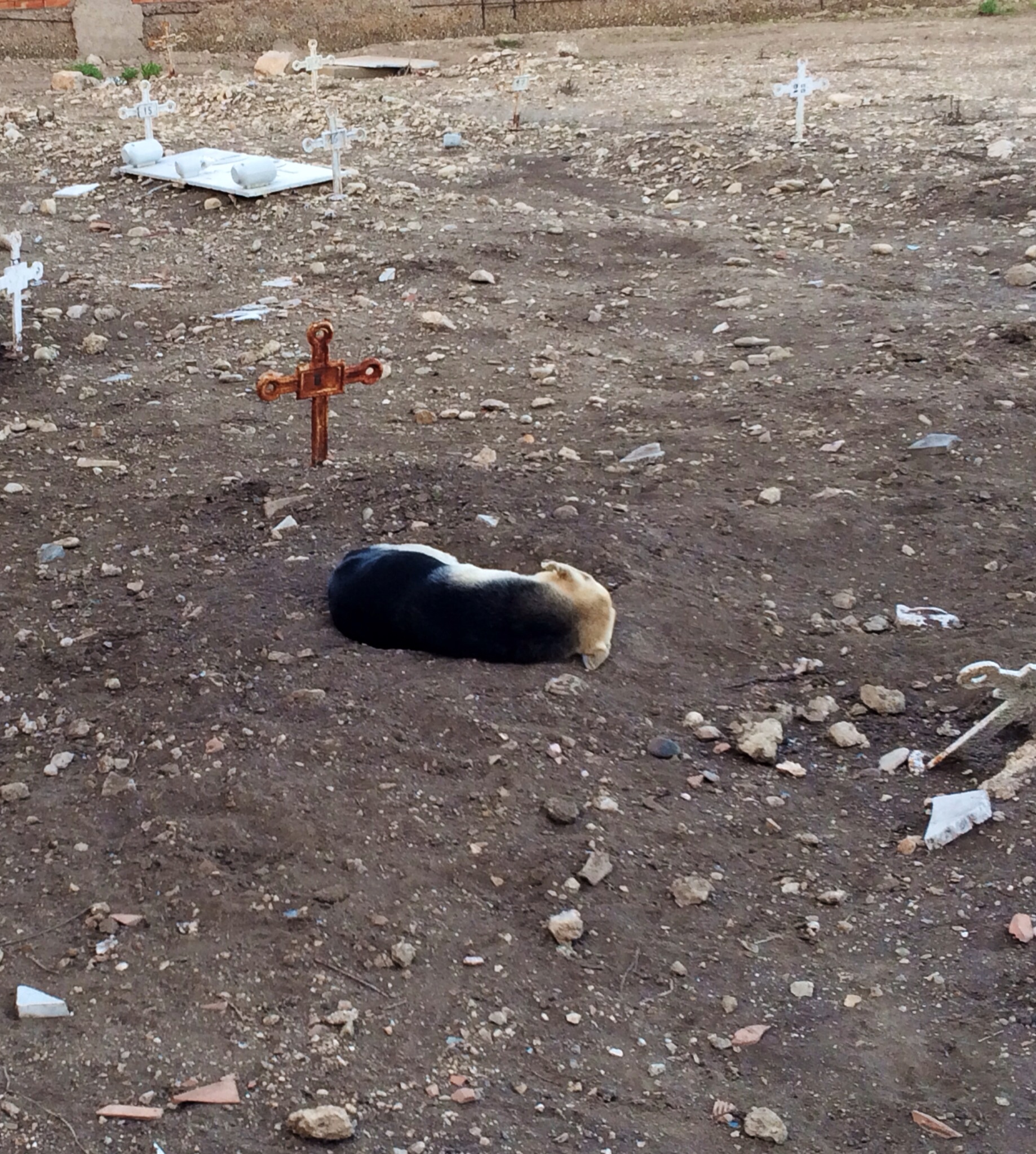 I am waiting for you