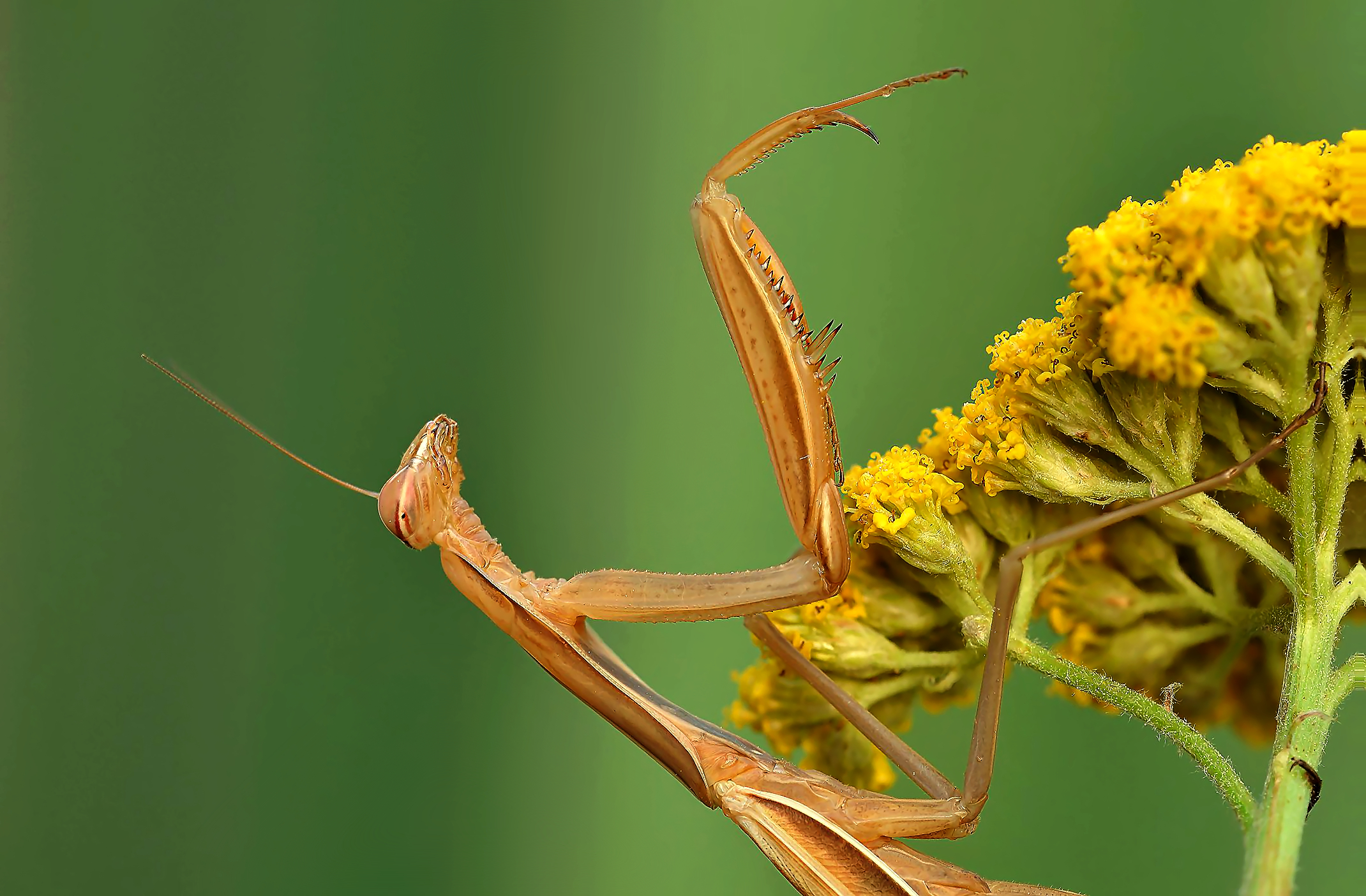 You have to go there!