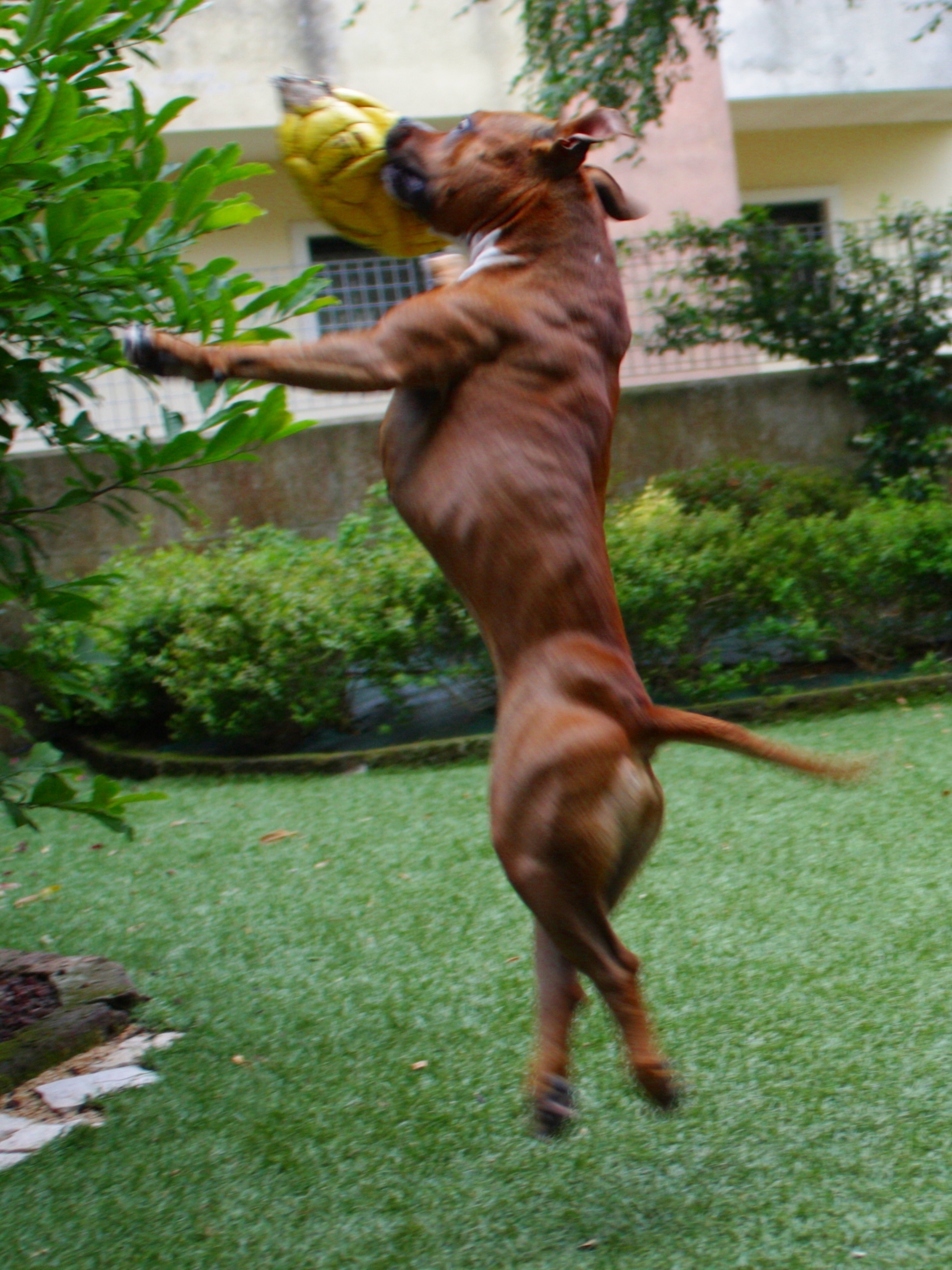 parataaaaaaaaaa!!!!!!!!!!