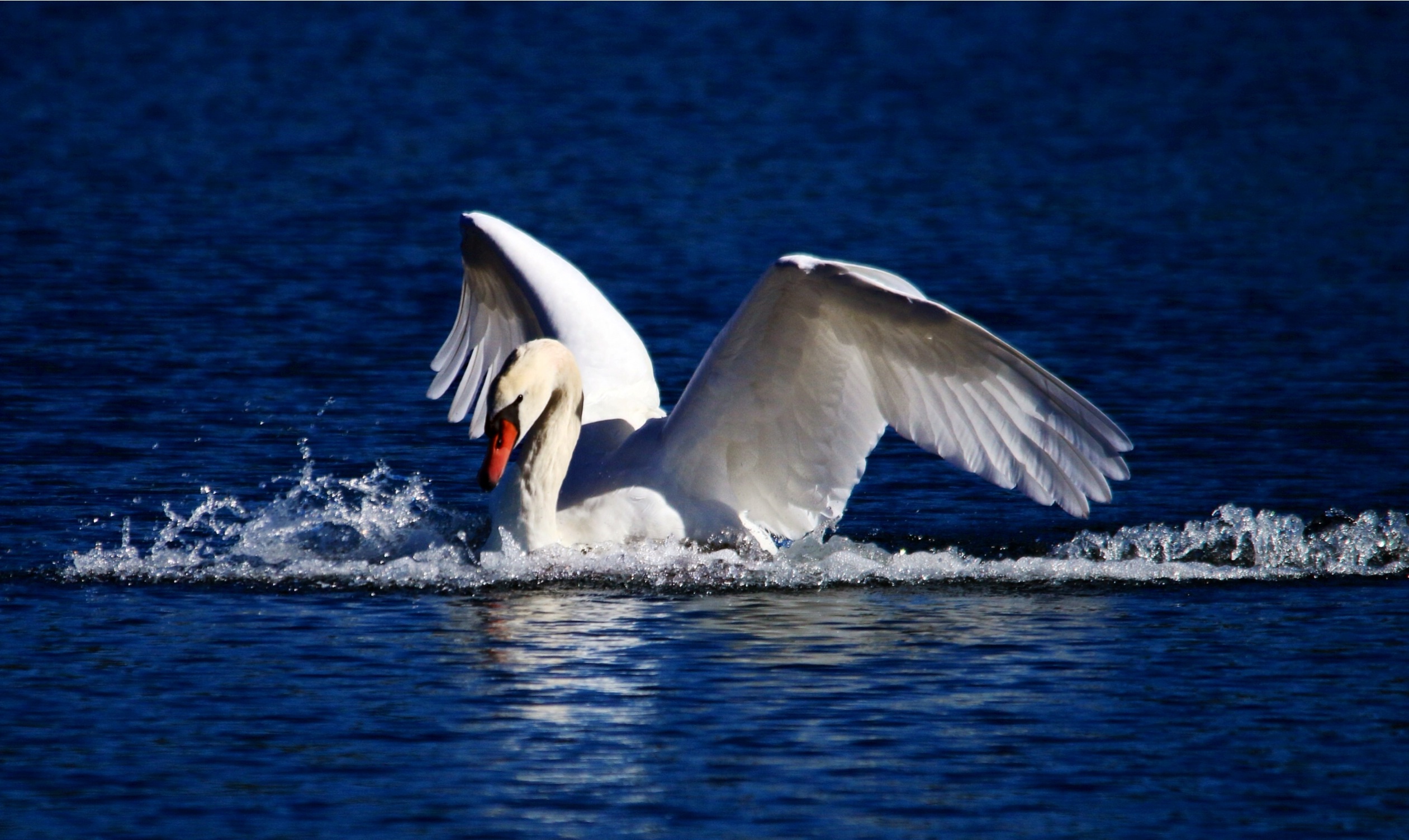 Atterraggio concluso