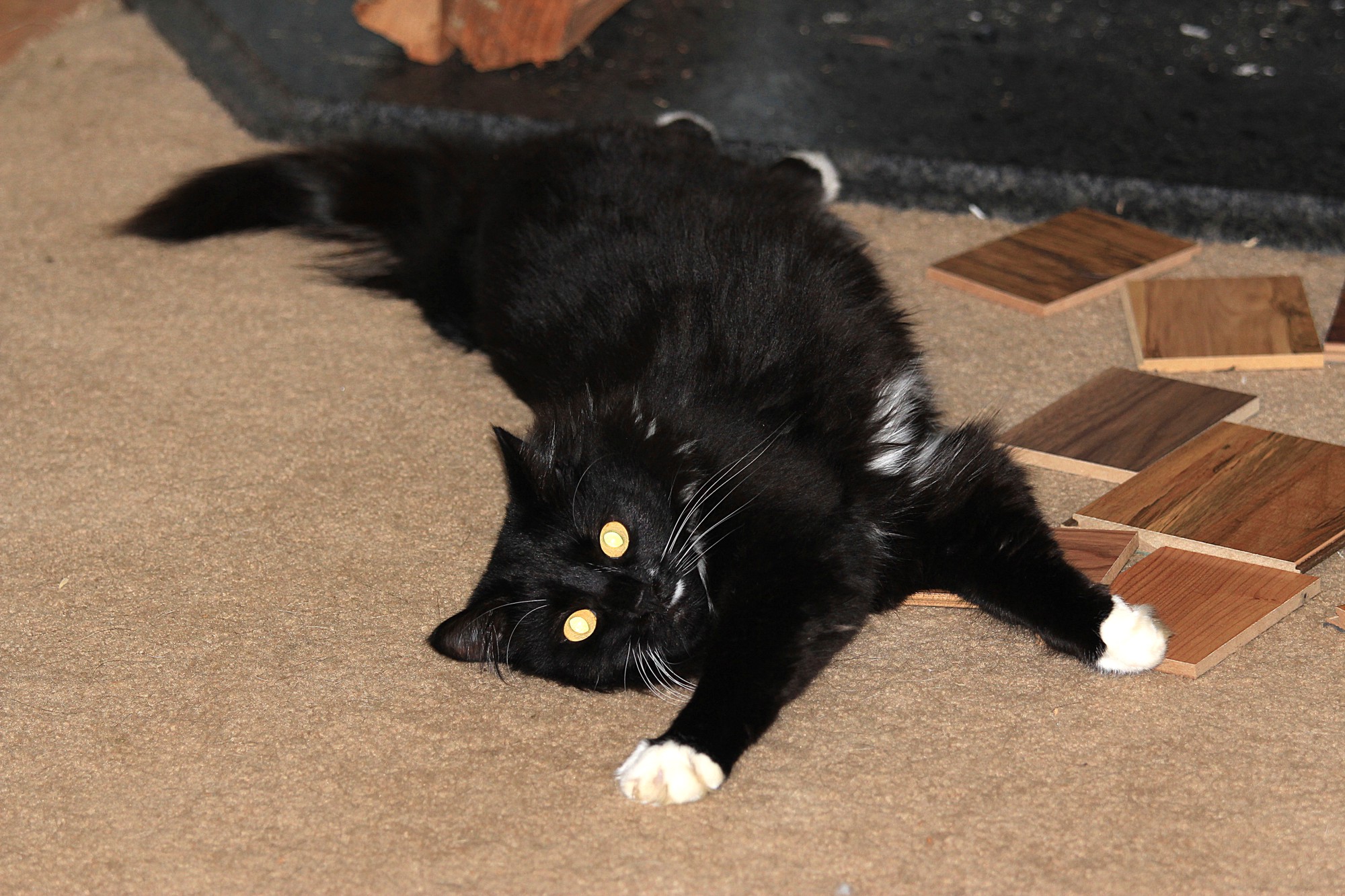 Sto mot finito di giocare!