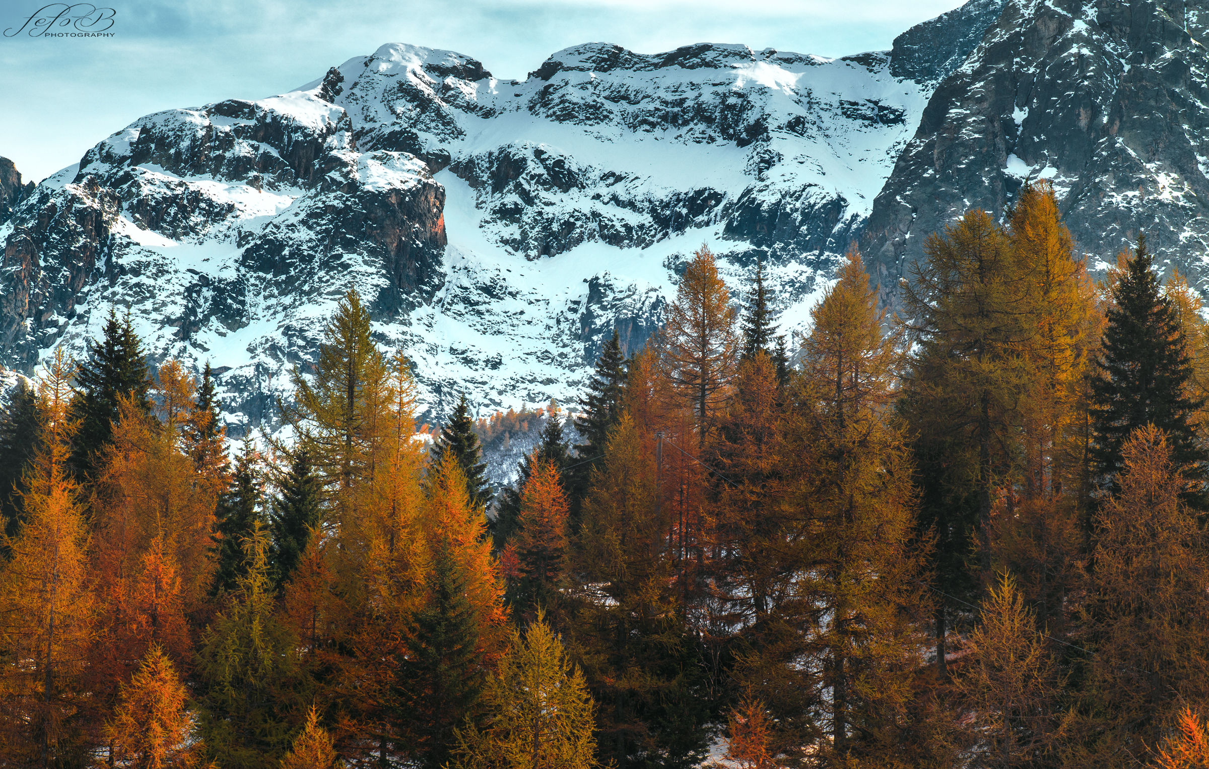 palette of autumn color