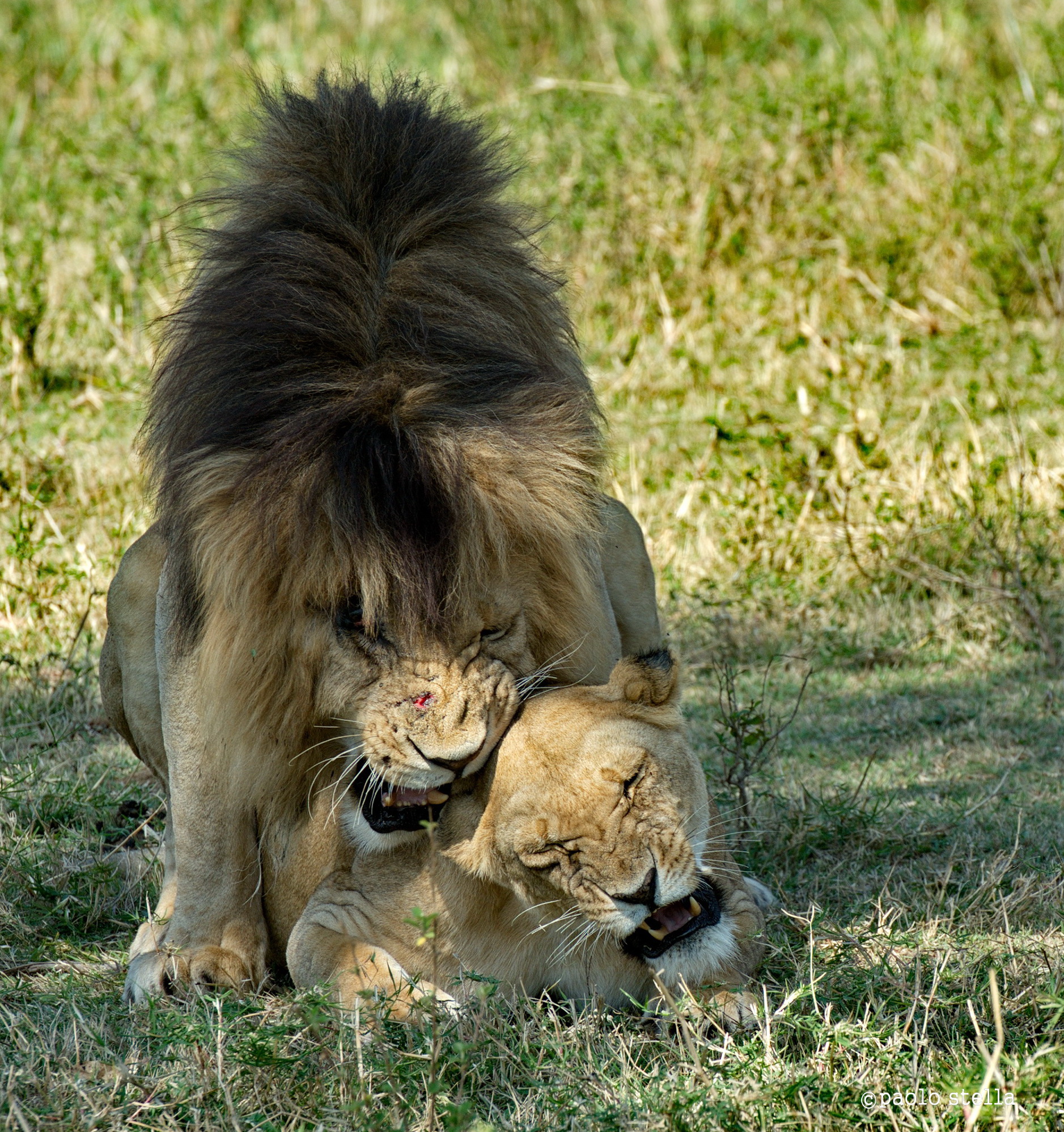 si......................