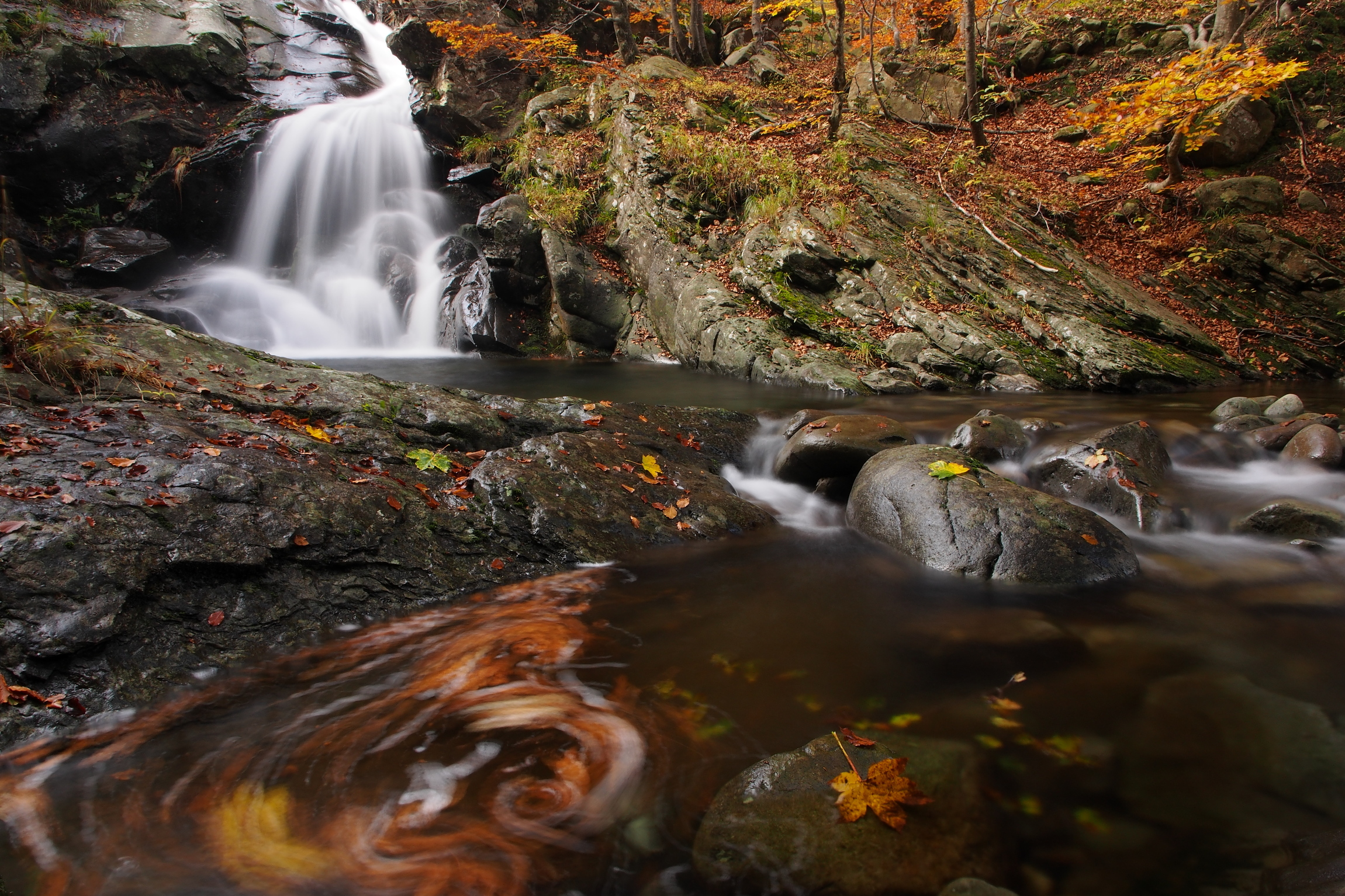 The stream is colored