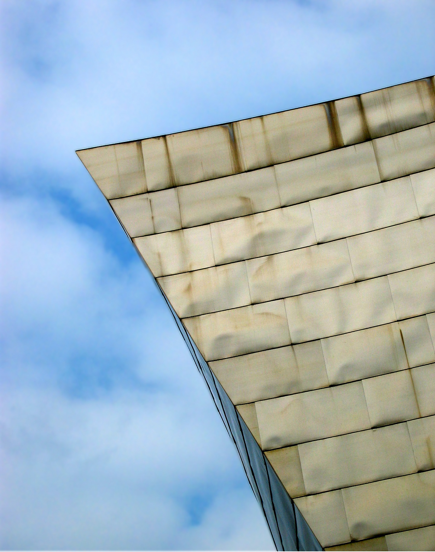 guggenheim bilbao - particolare