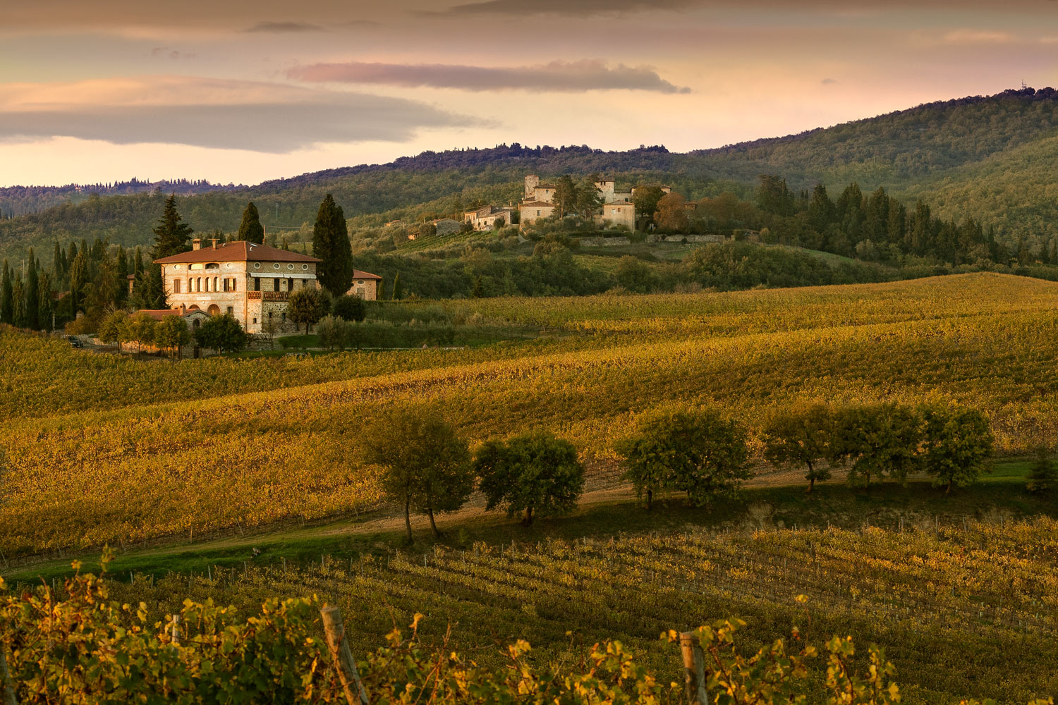Colline del Chianti, autunno