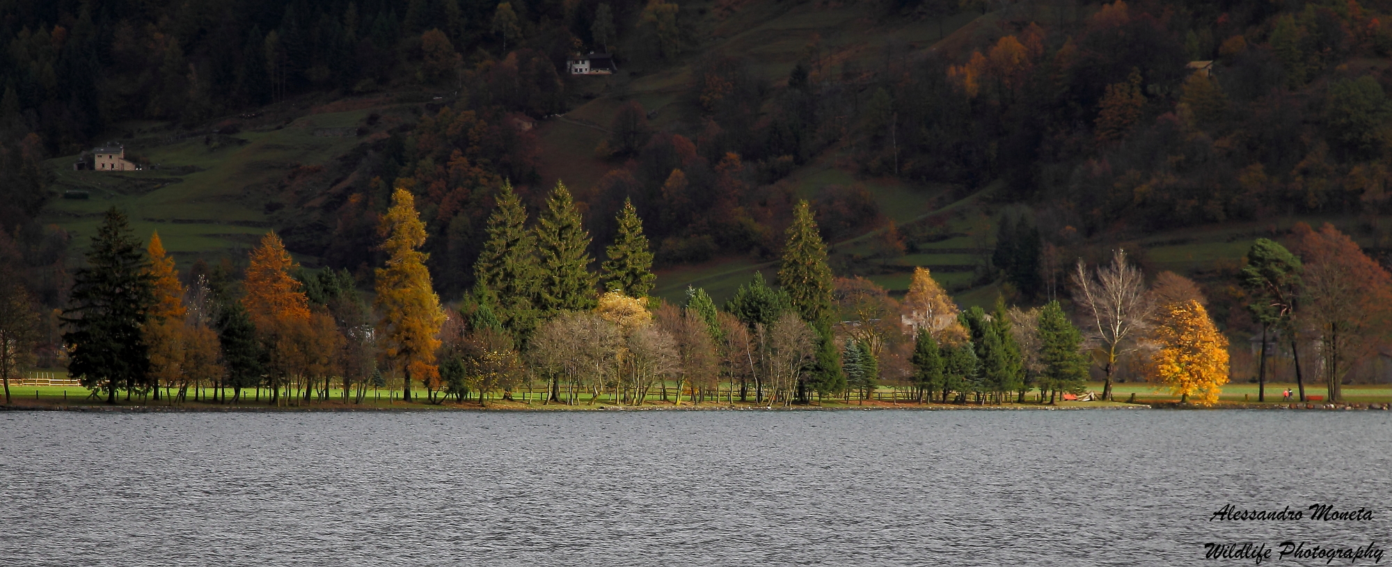 Shore of Lake Poschiavo